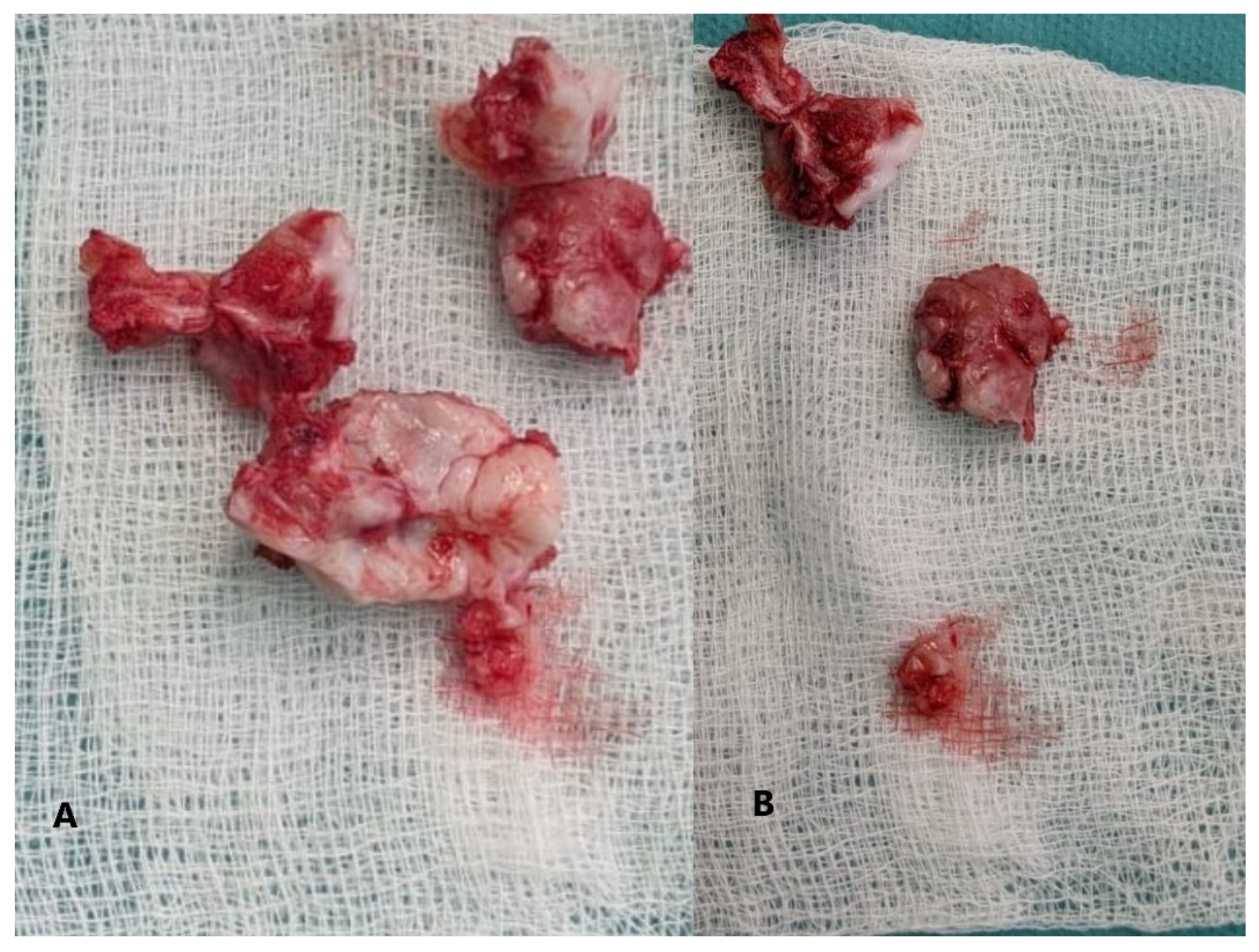 Children 08 00907 g007