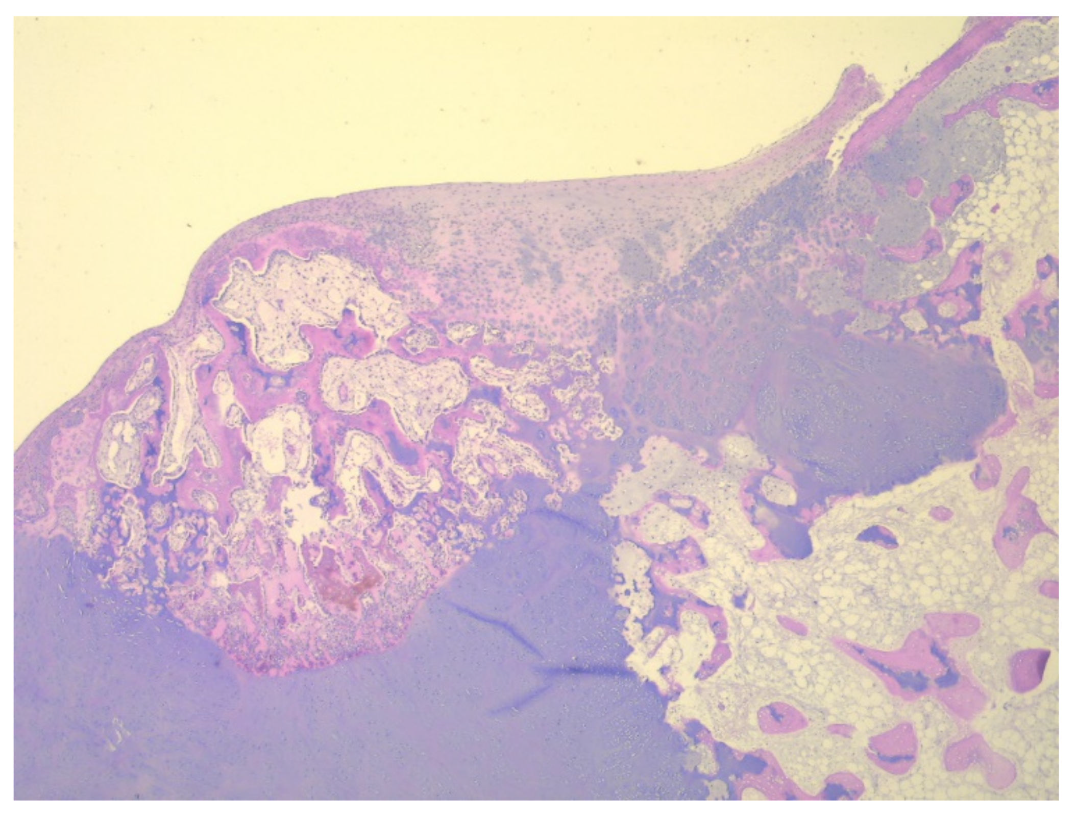 Children 08 00907 g009