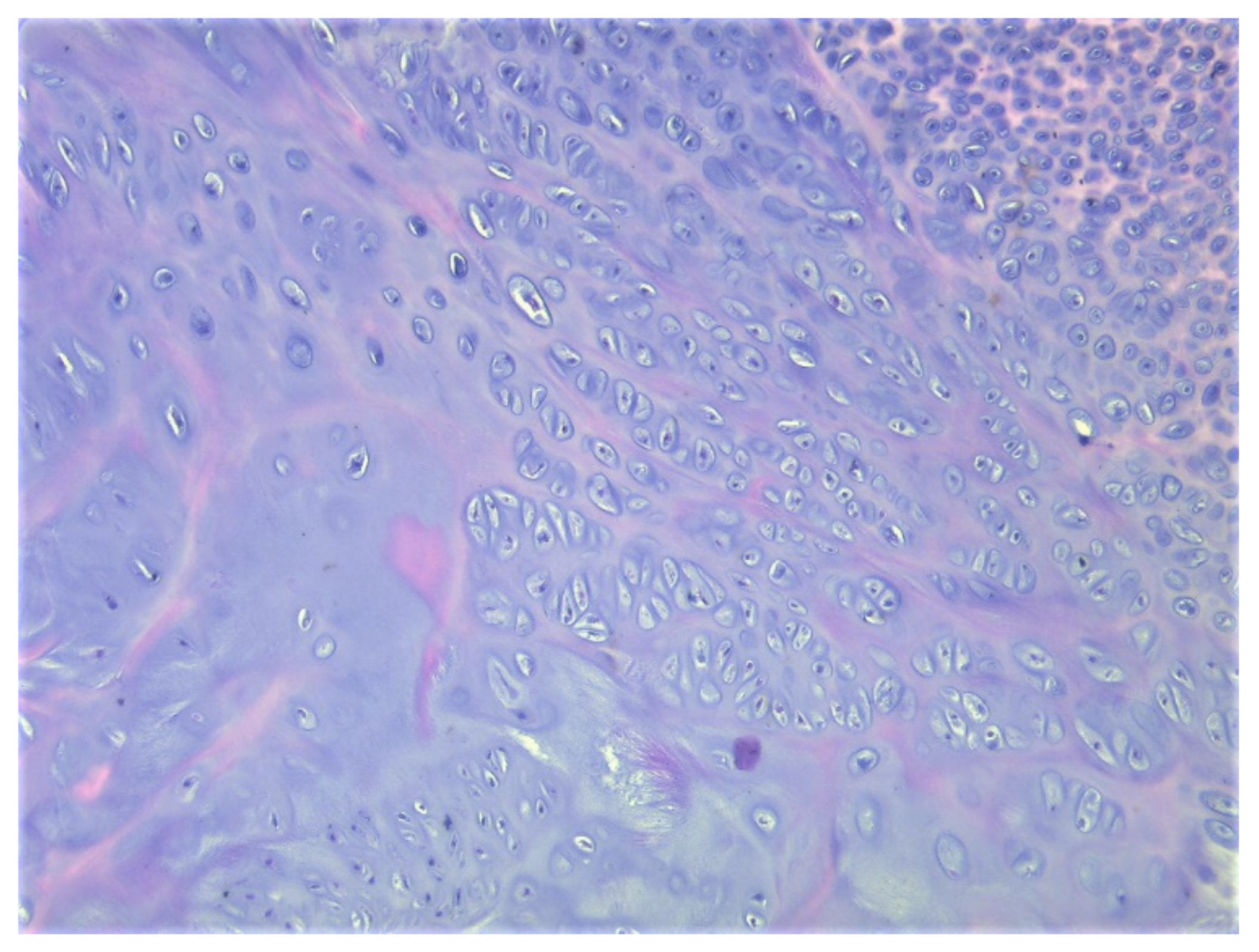 Children 08 00907 g011