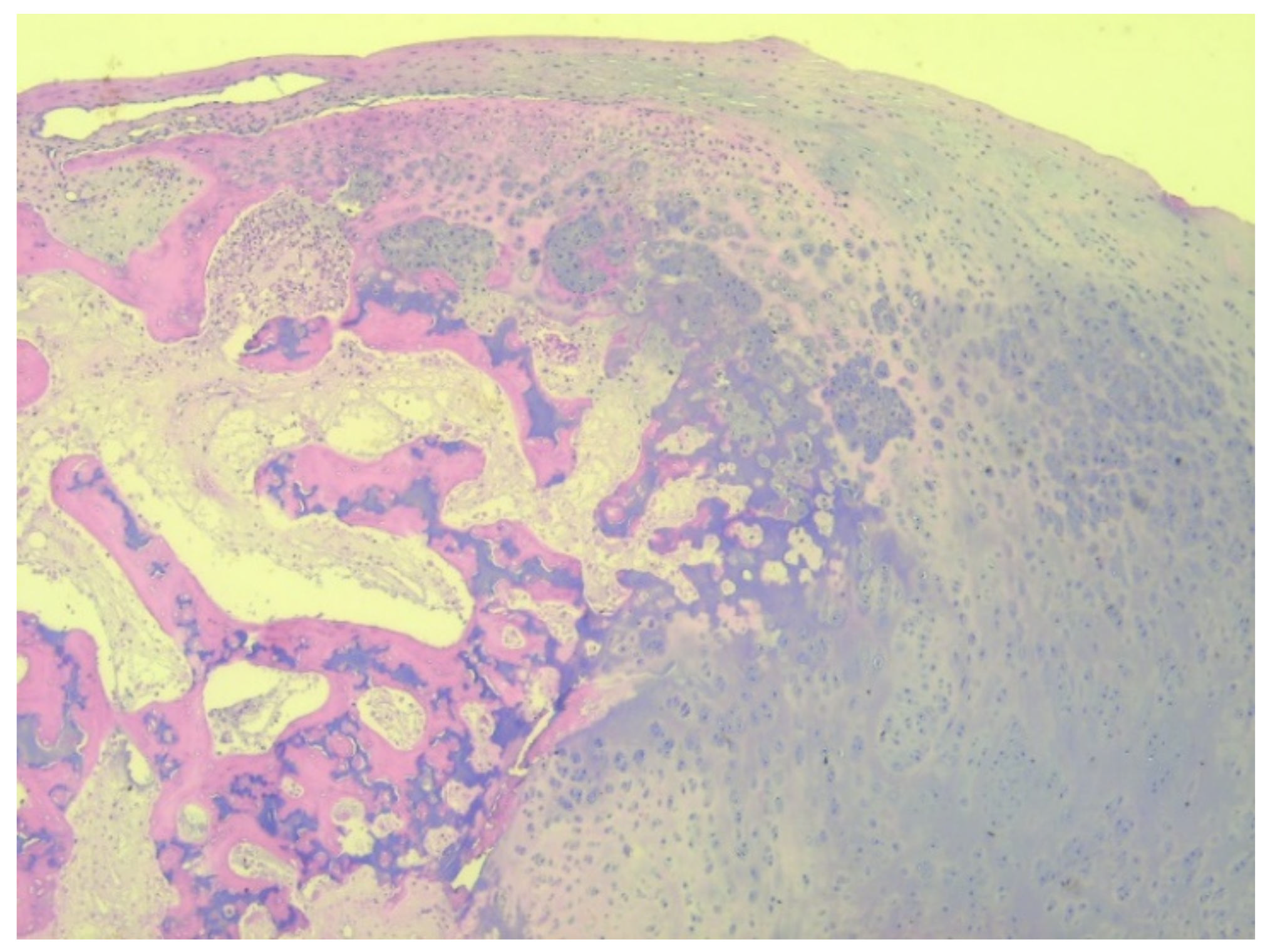 Children 08 00907 g012