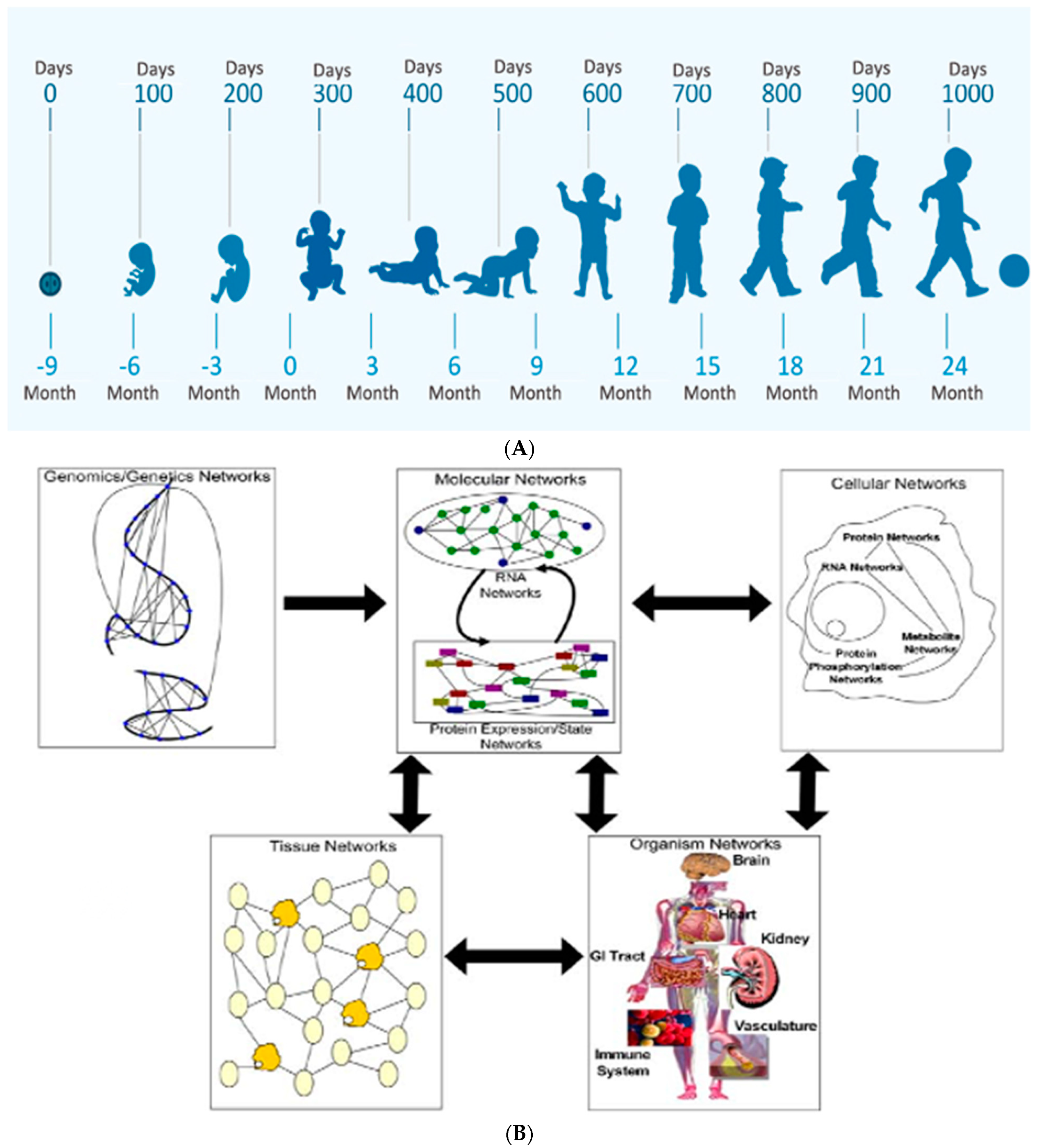 Children 08 00945 g001