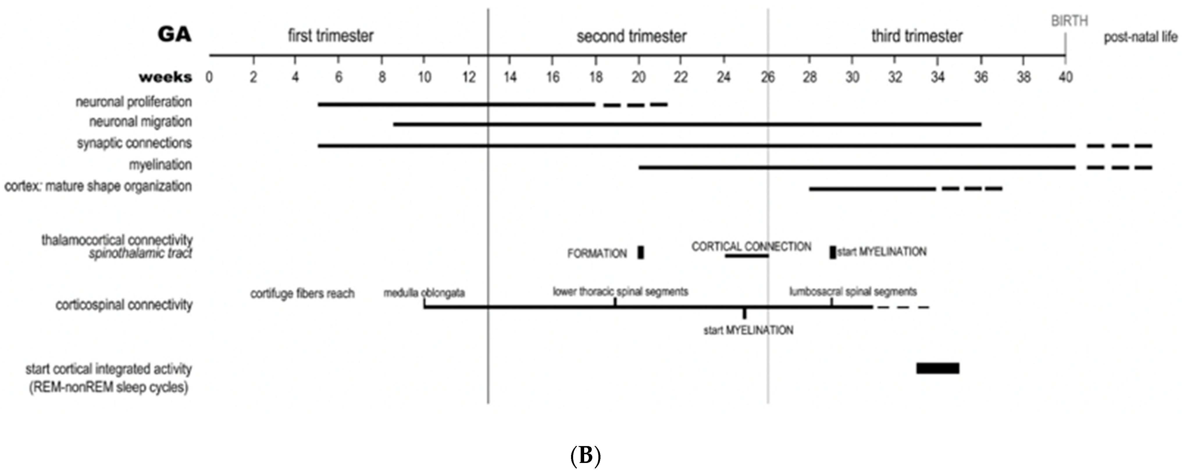 Children 08 00945 g002b