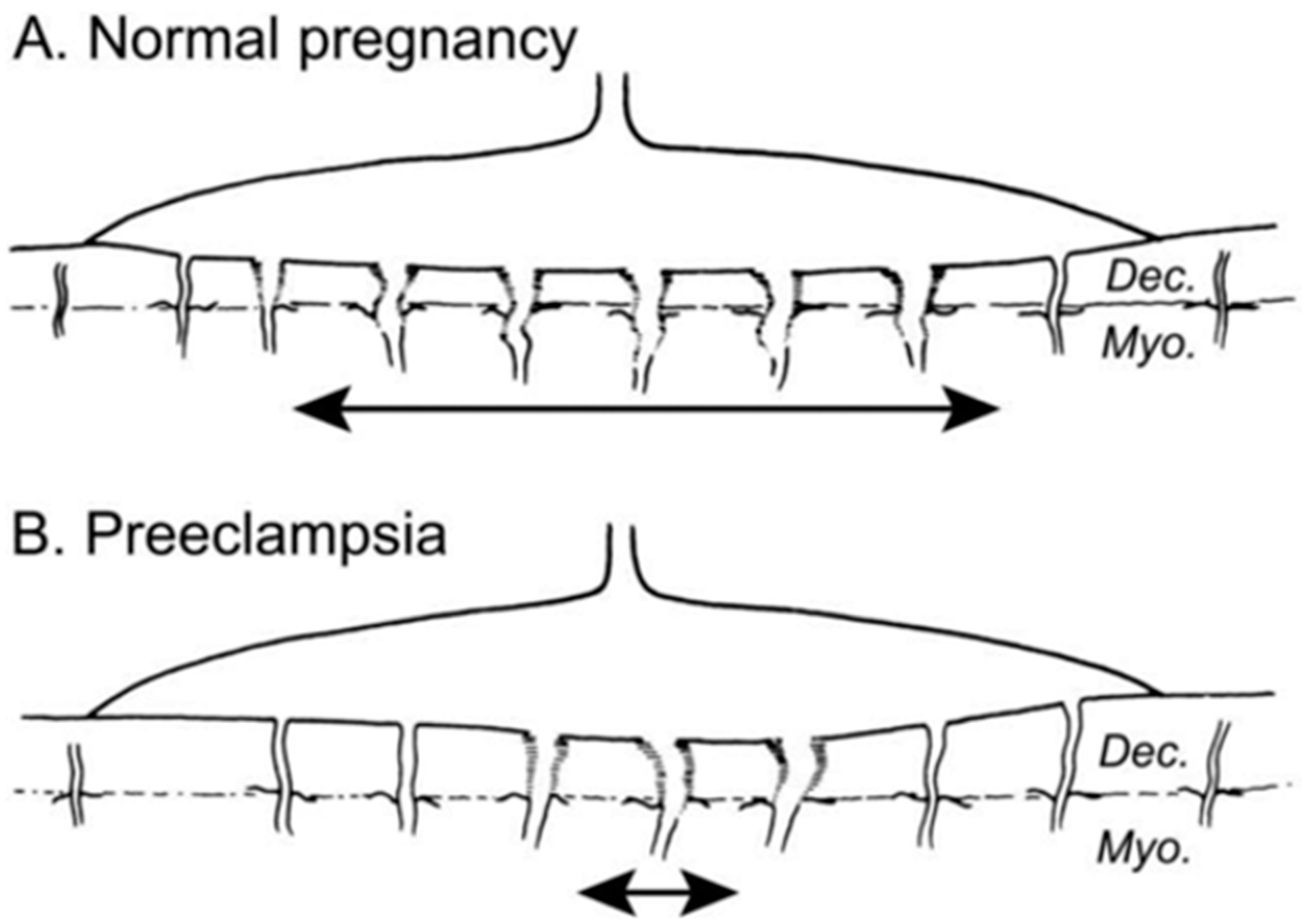 Children 08 00945 g004