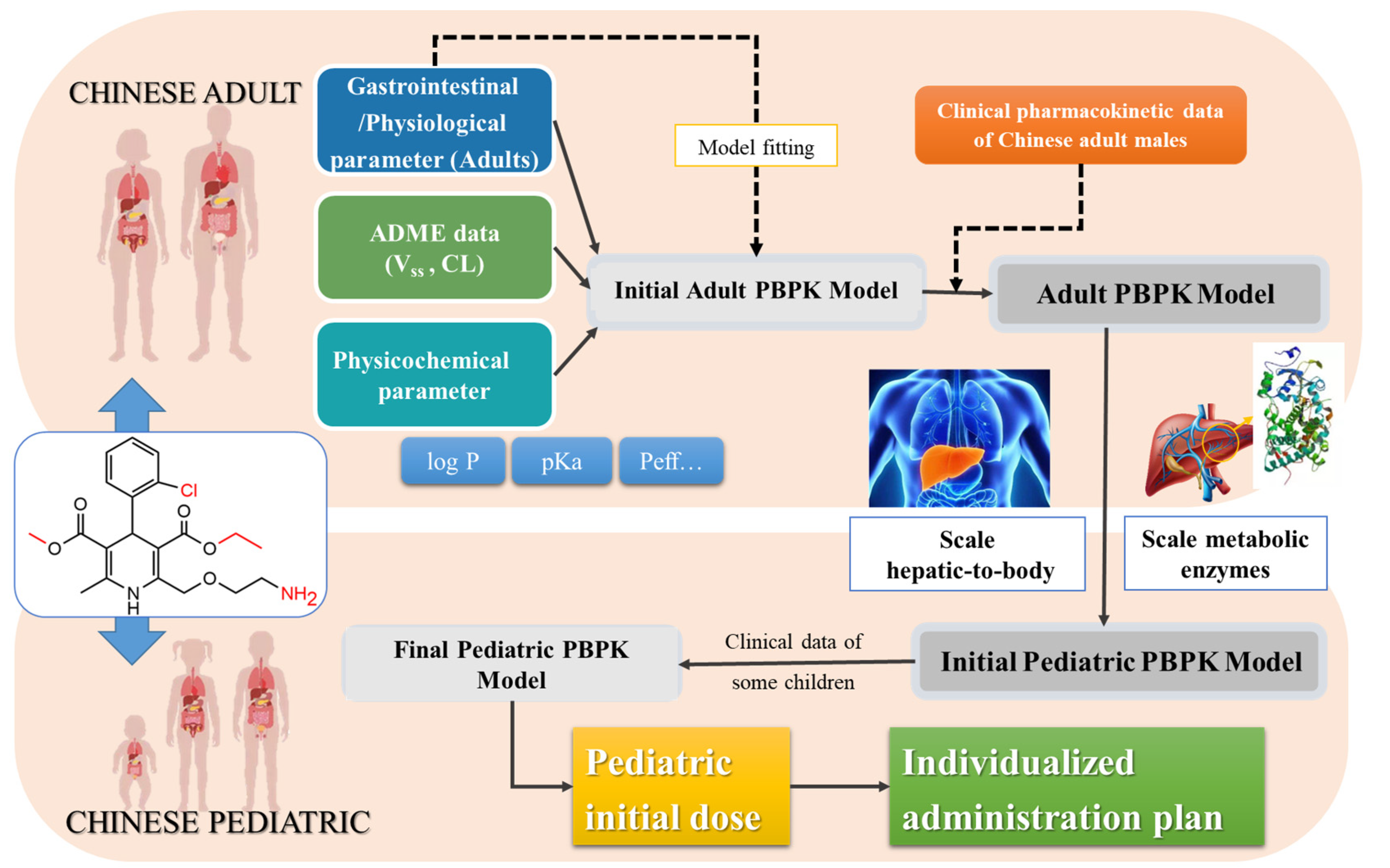 Children 08 00950 g001