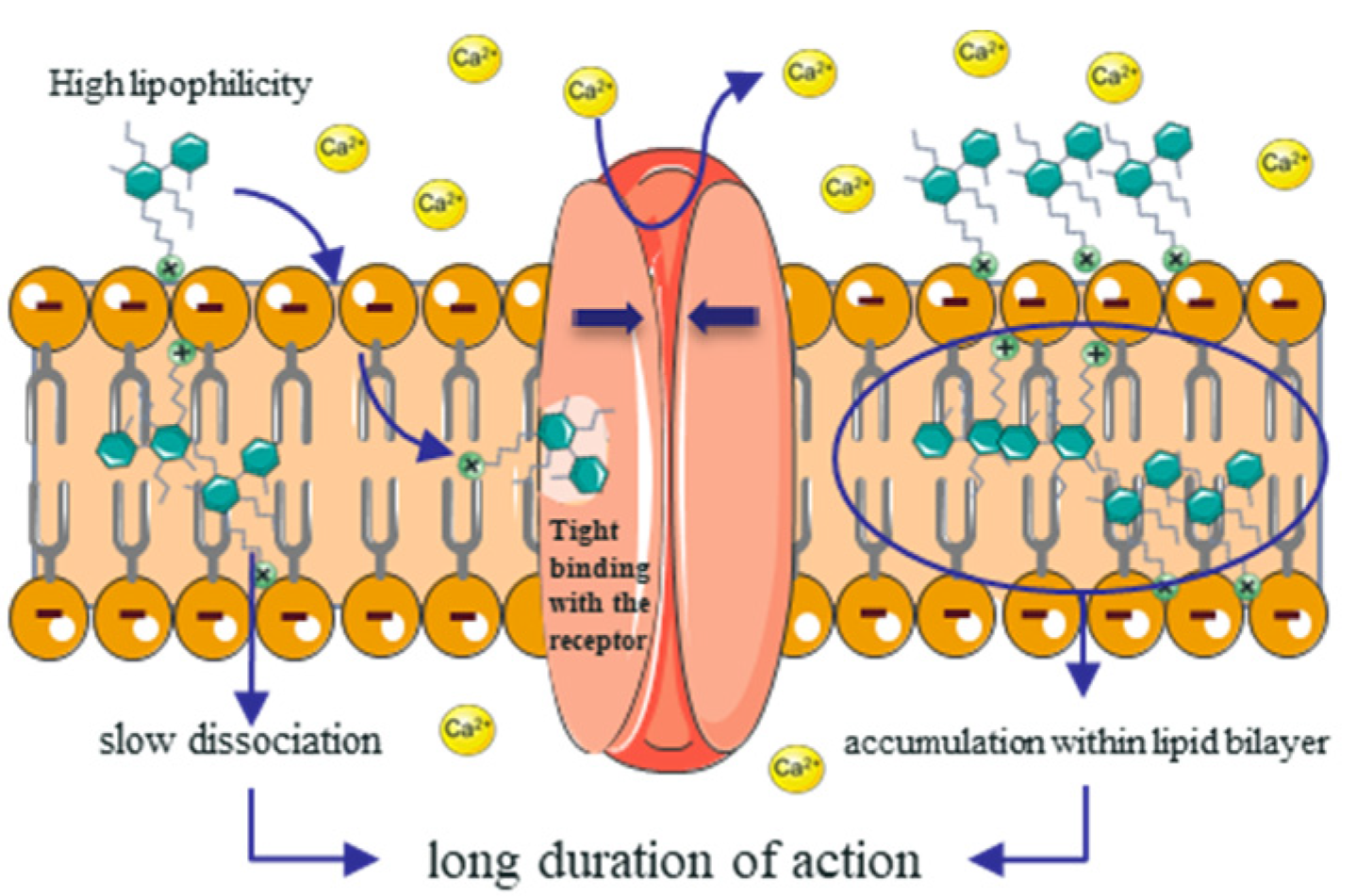 Children 08 00950 g006