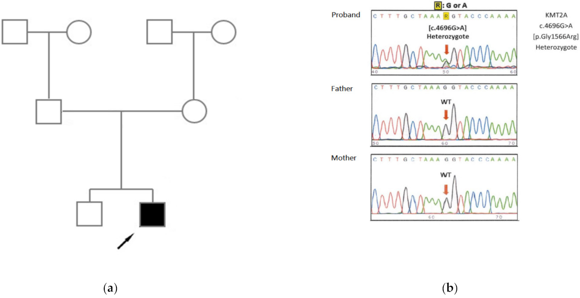 Children 08 00952 g002 550