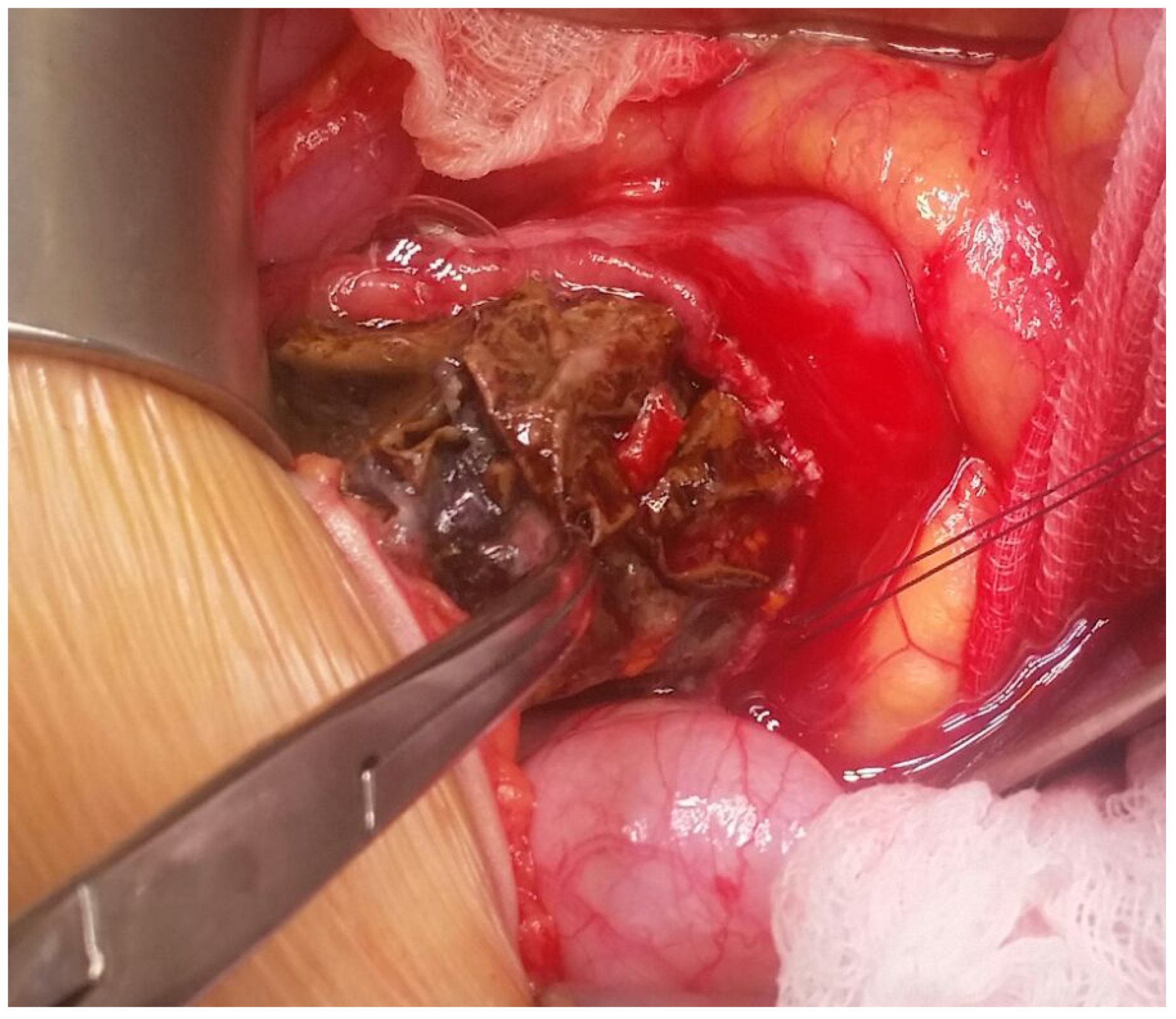 Children 08 00956 g001