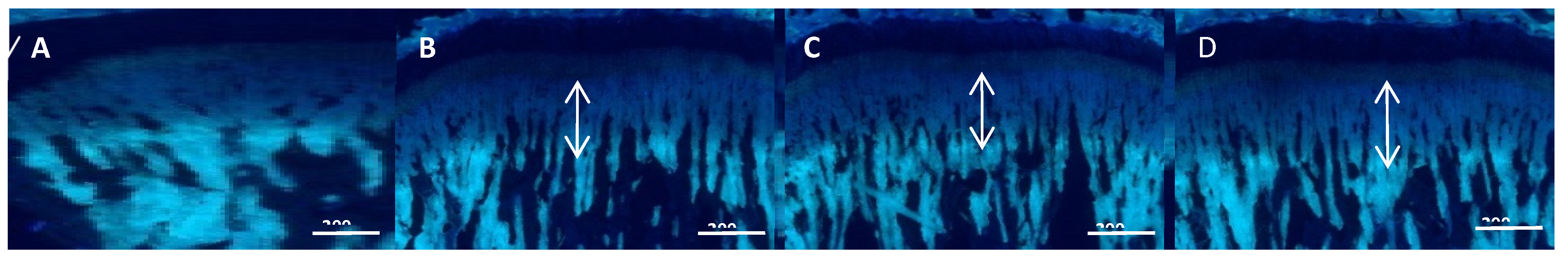 Children 08 00975 g006 550