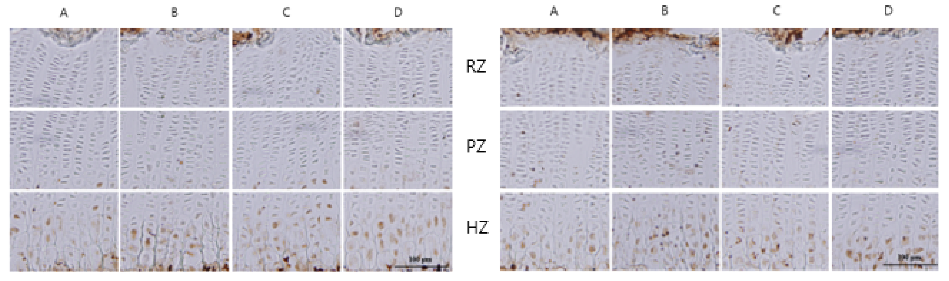 Children 08 00975 g008 550