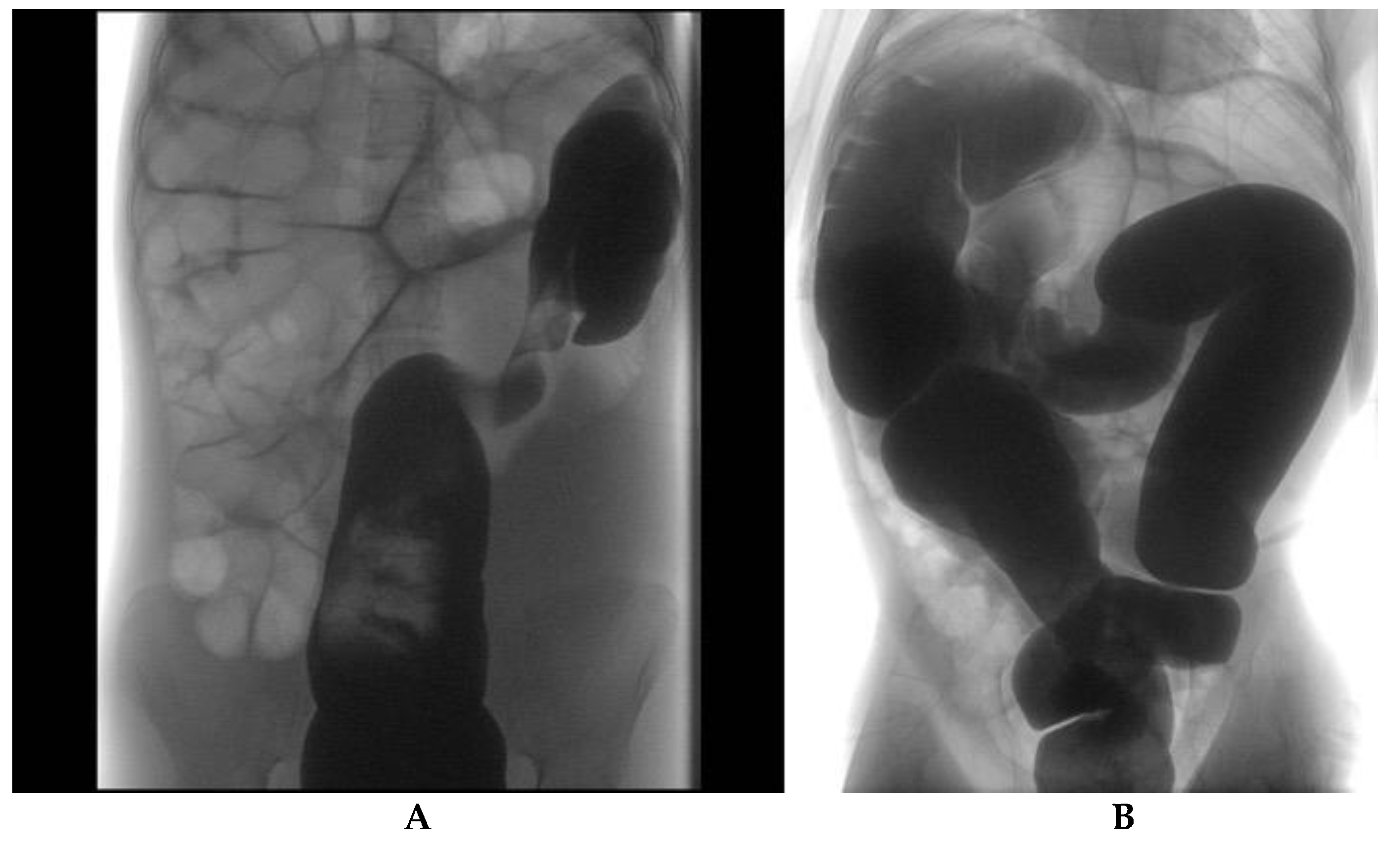 Children 08 00982 g001