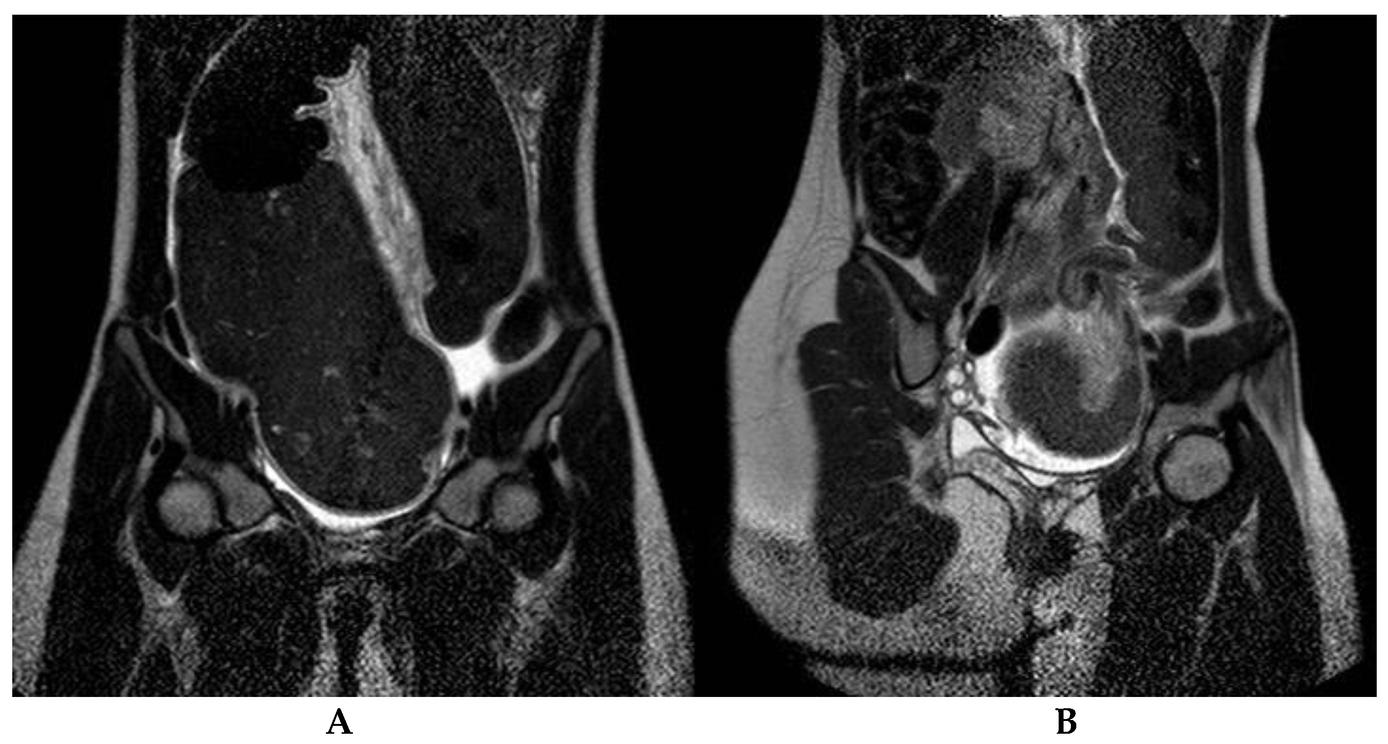 Children 08 00982 g002