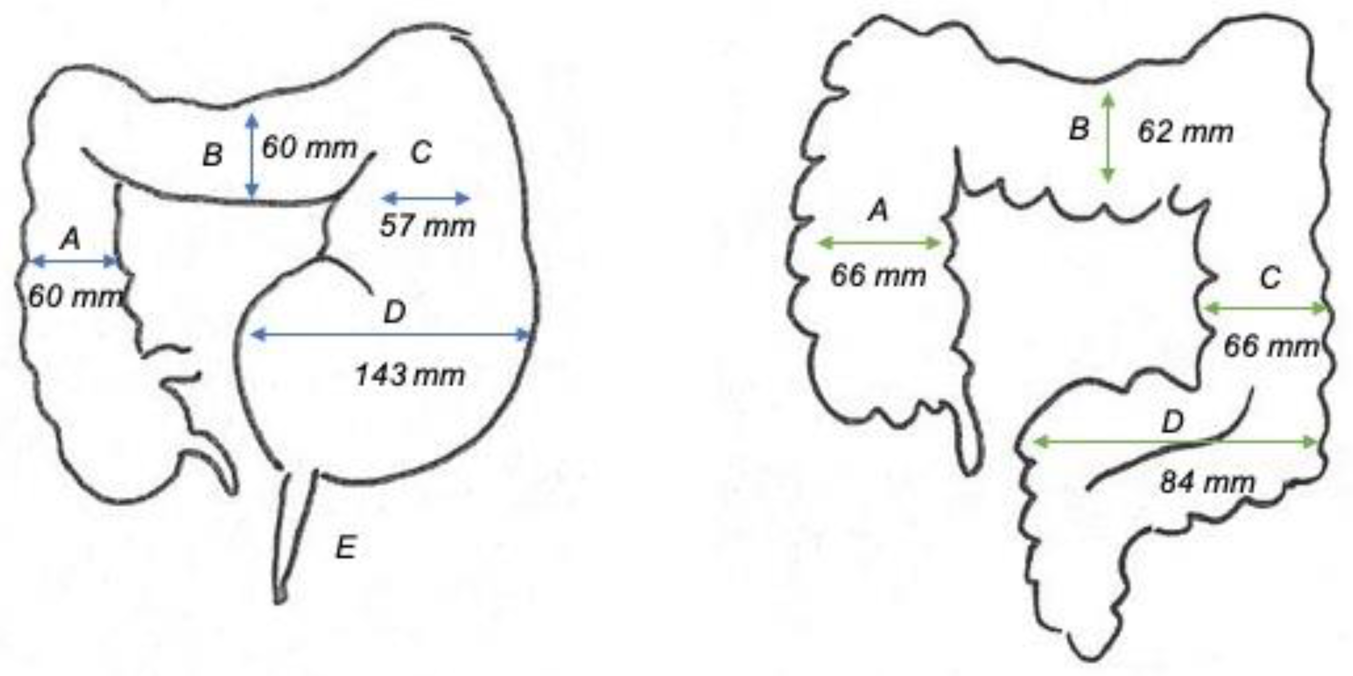 Children 08 00982 g003