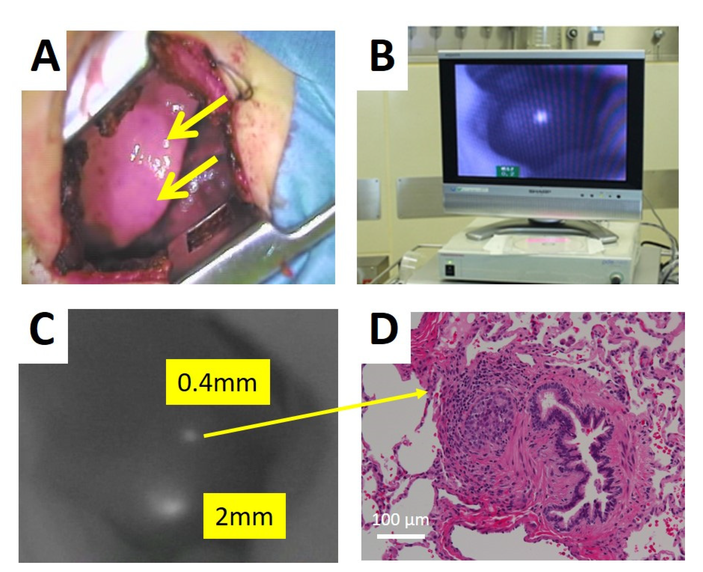 Children 08 01015 g002