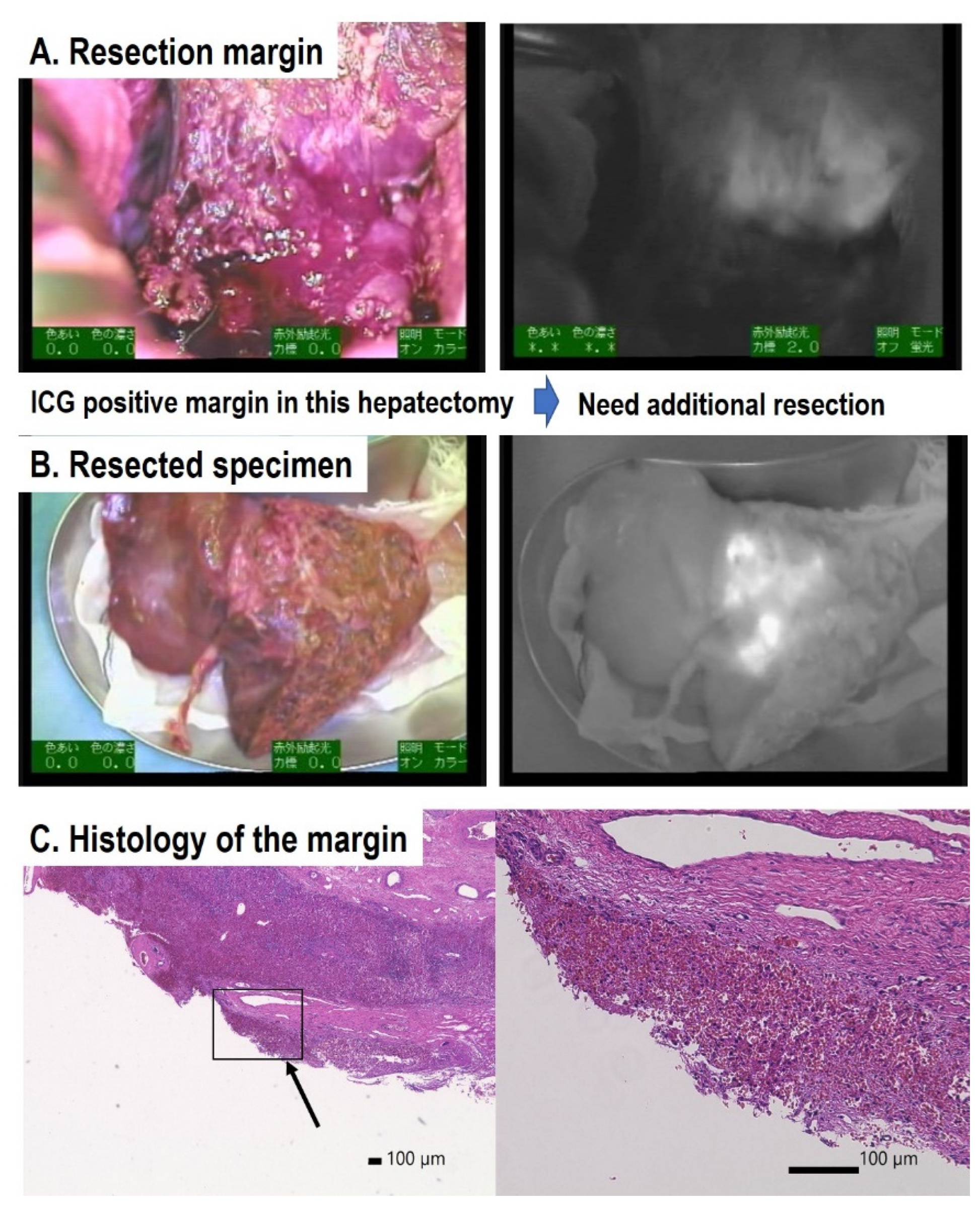 Children 08 01015 g003