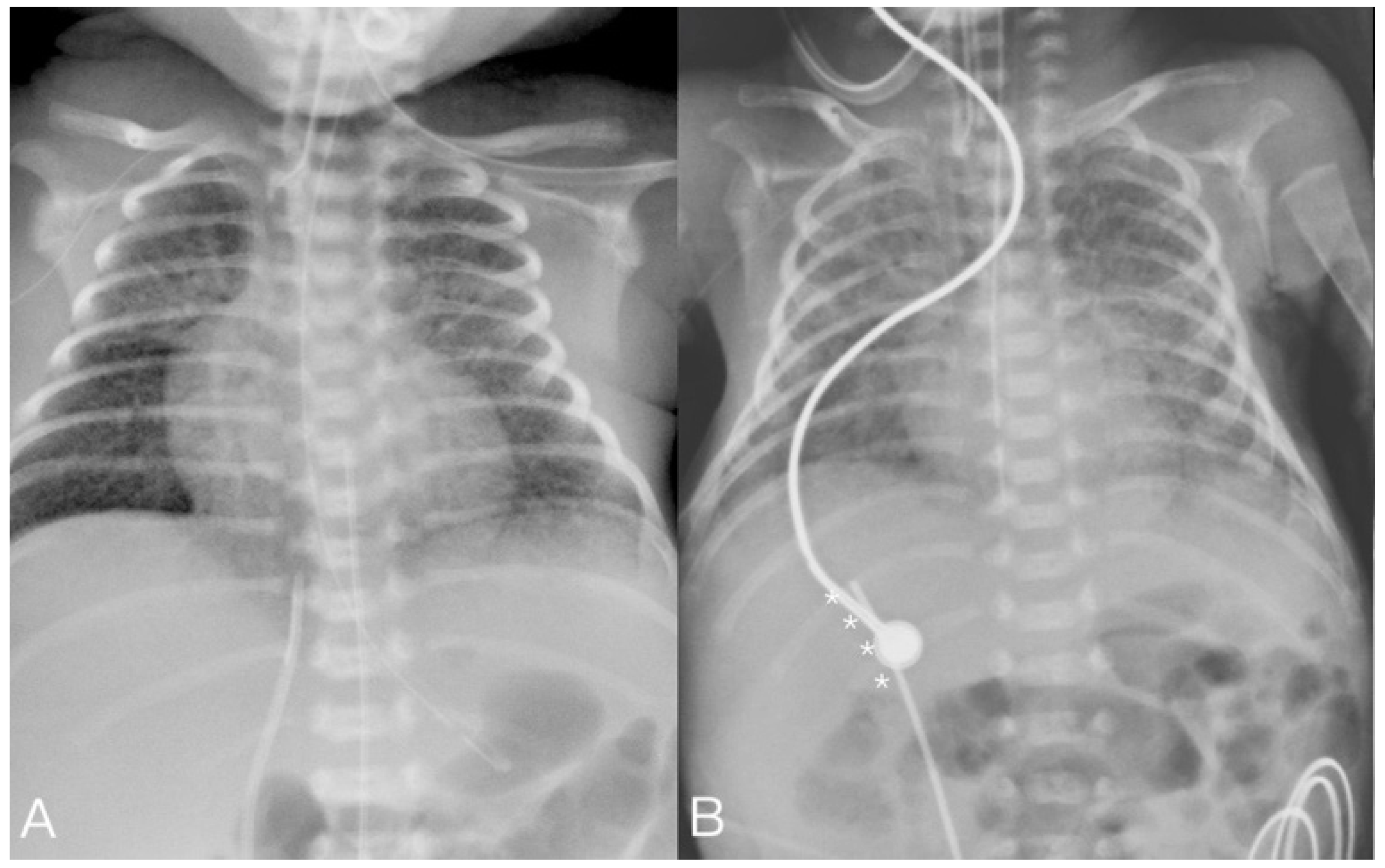 Children 08 01017 g001 550