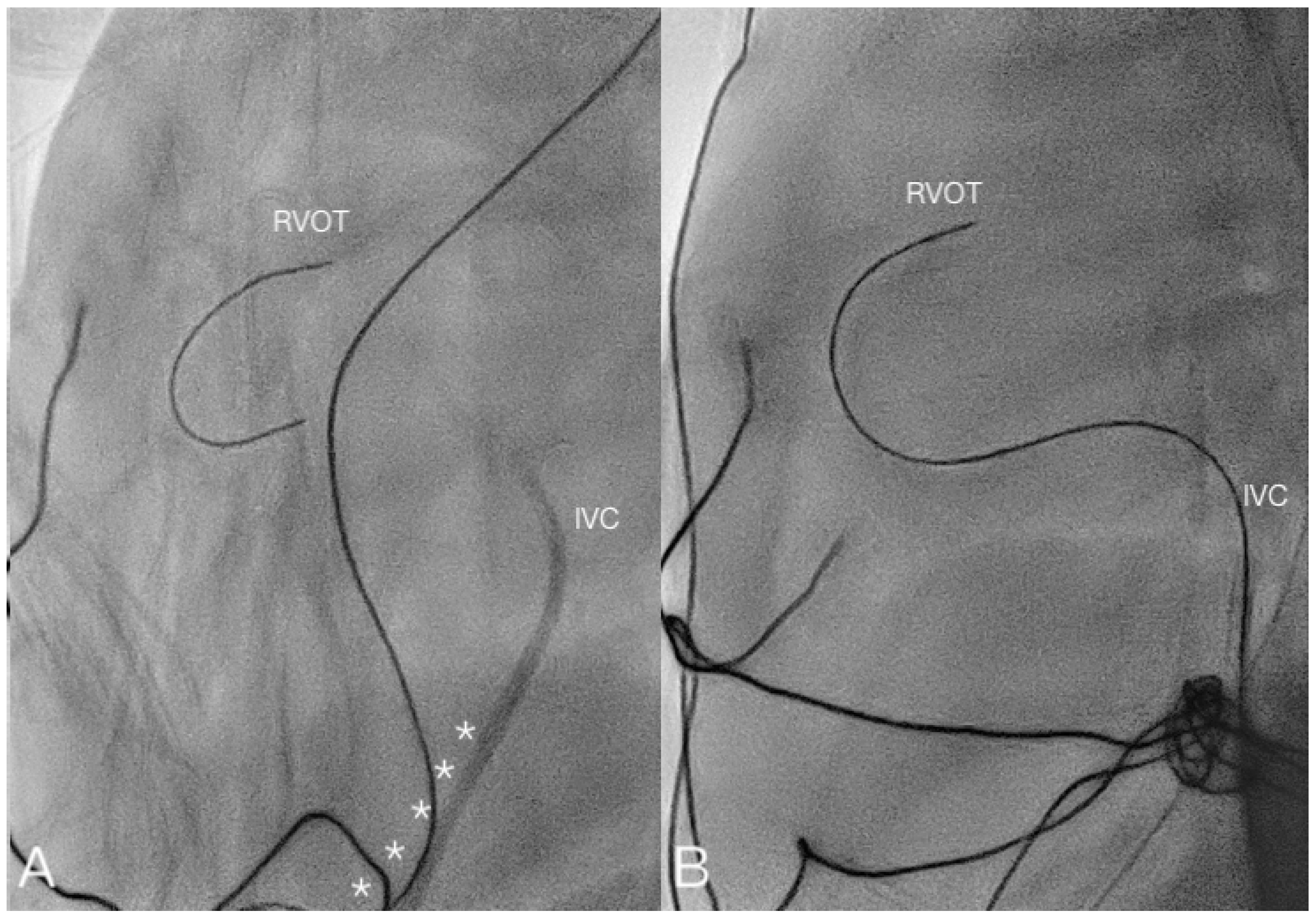 Children 08 01017 g004 550