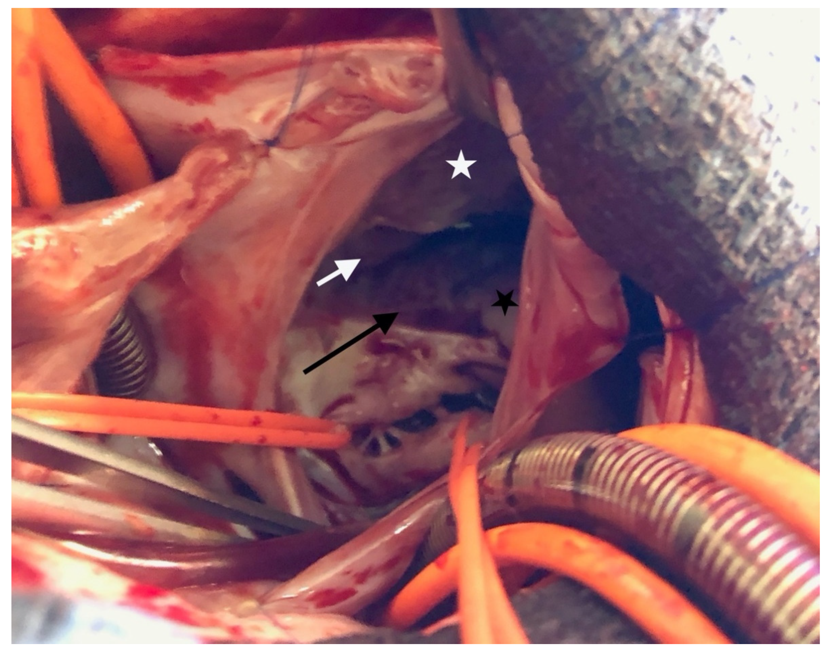 Children 08 01029 g003 550