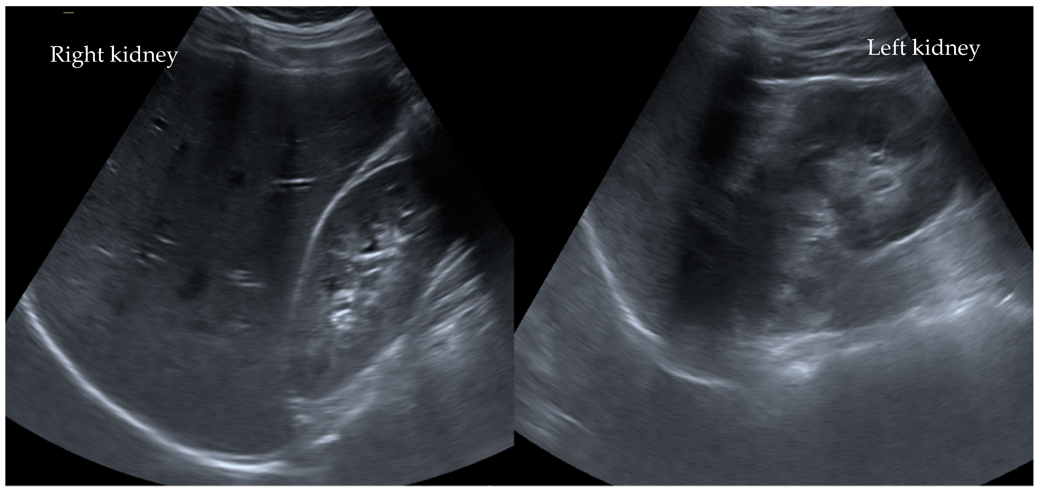 Children 08 01048 g001