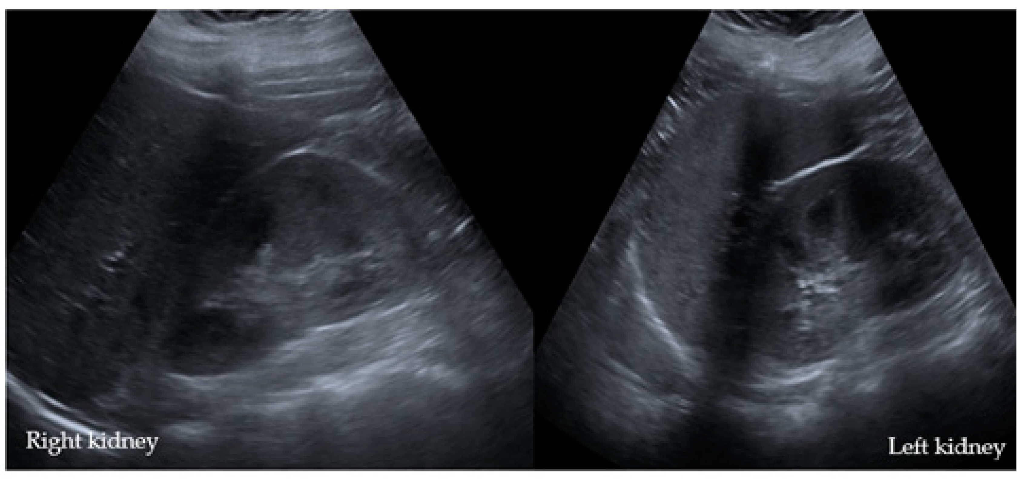 Children 08 01048 g004