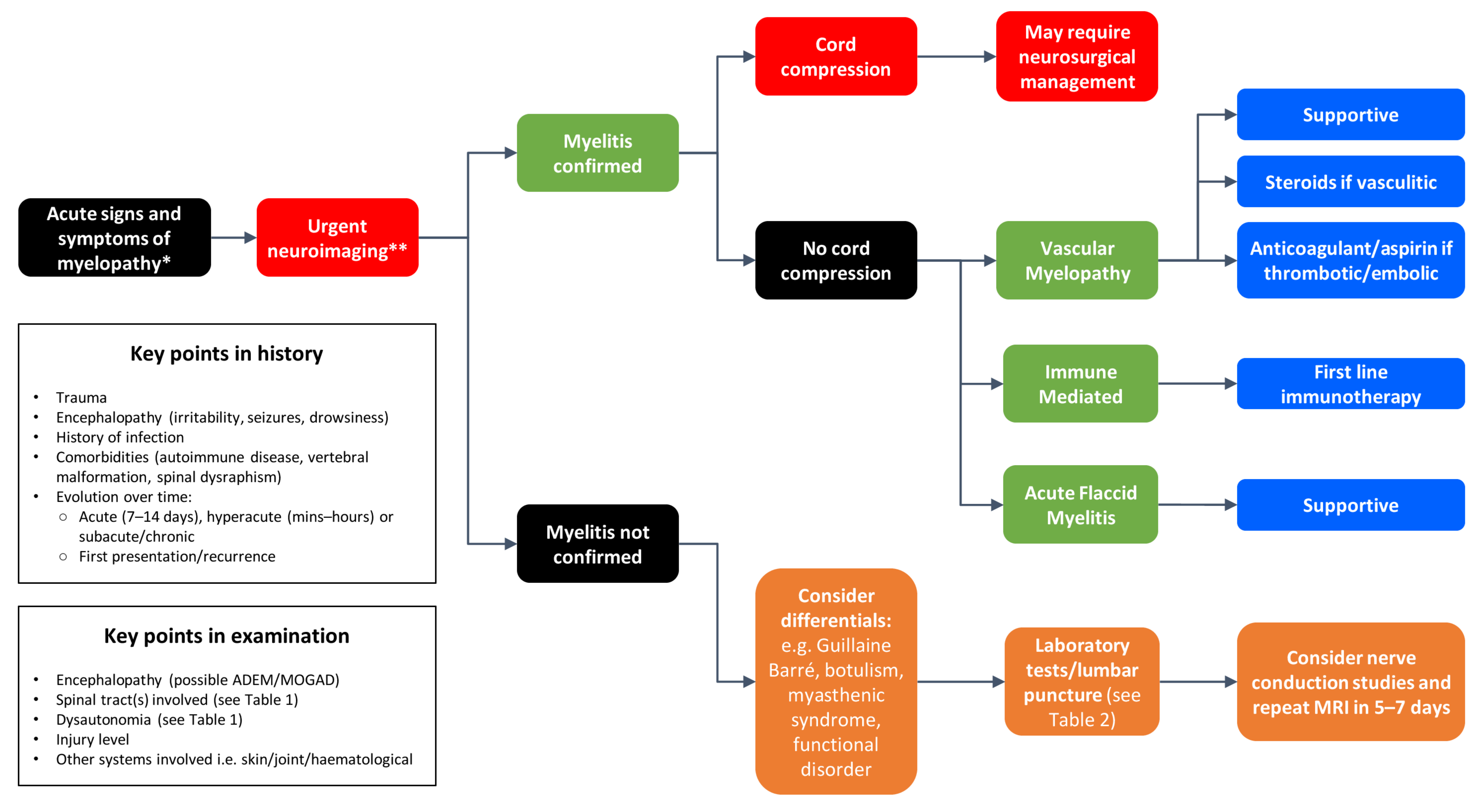 Children 08 01055 g003 Children 08 01055 g003