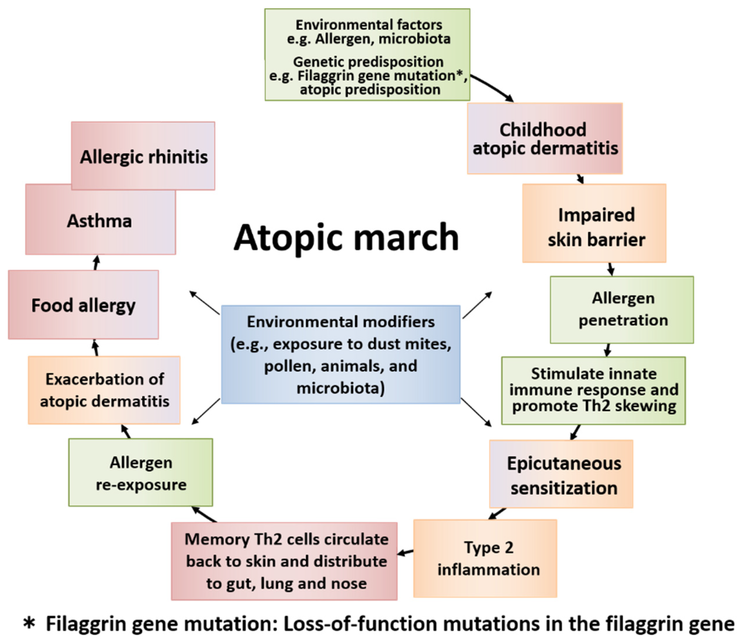 research progress in atopic march
