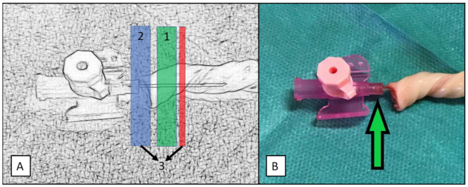 Children 08 01093 g001 550