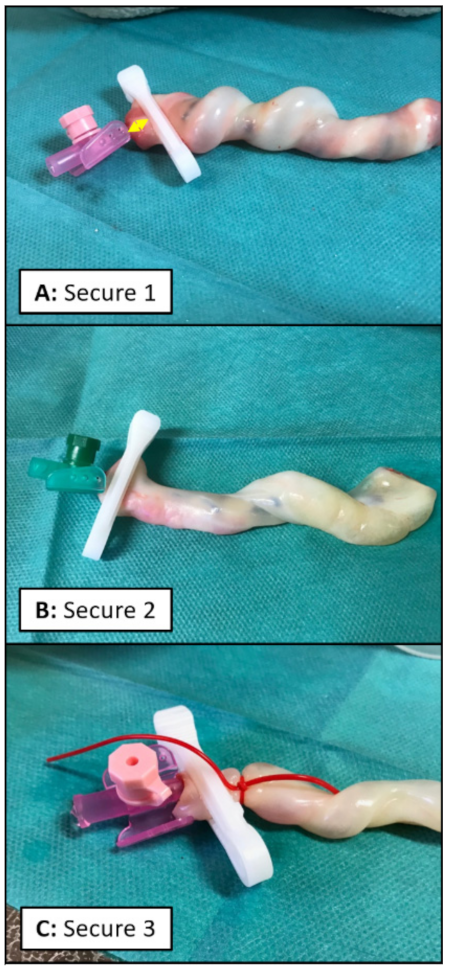 Children 08 01093 g002 550