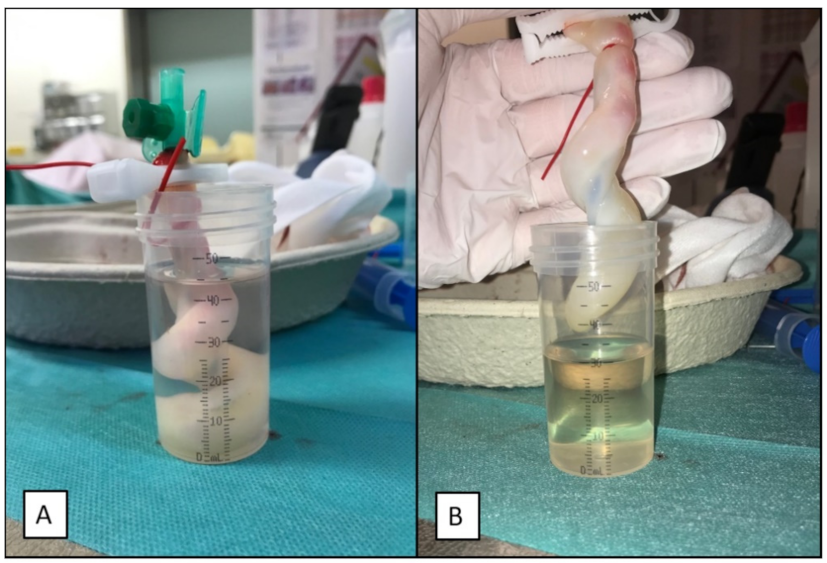 Children 08 01093 g003 550