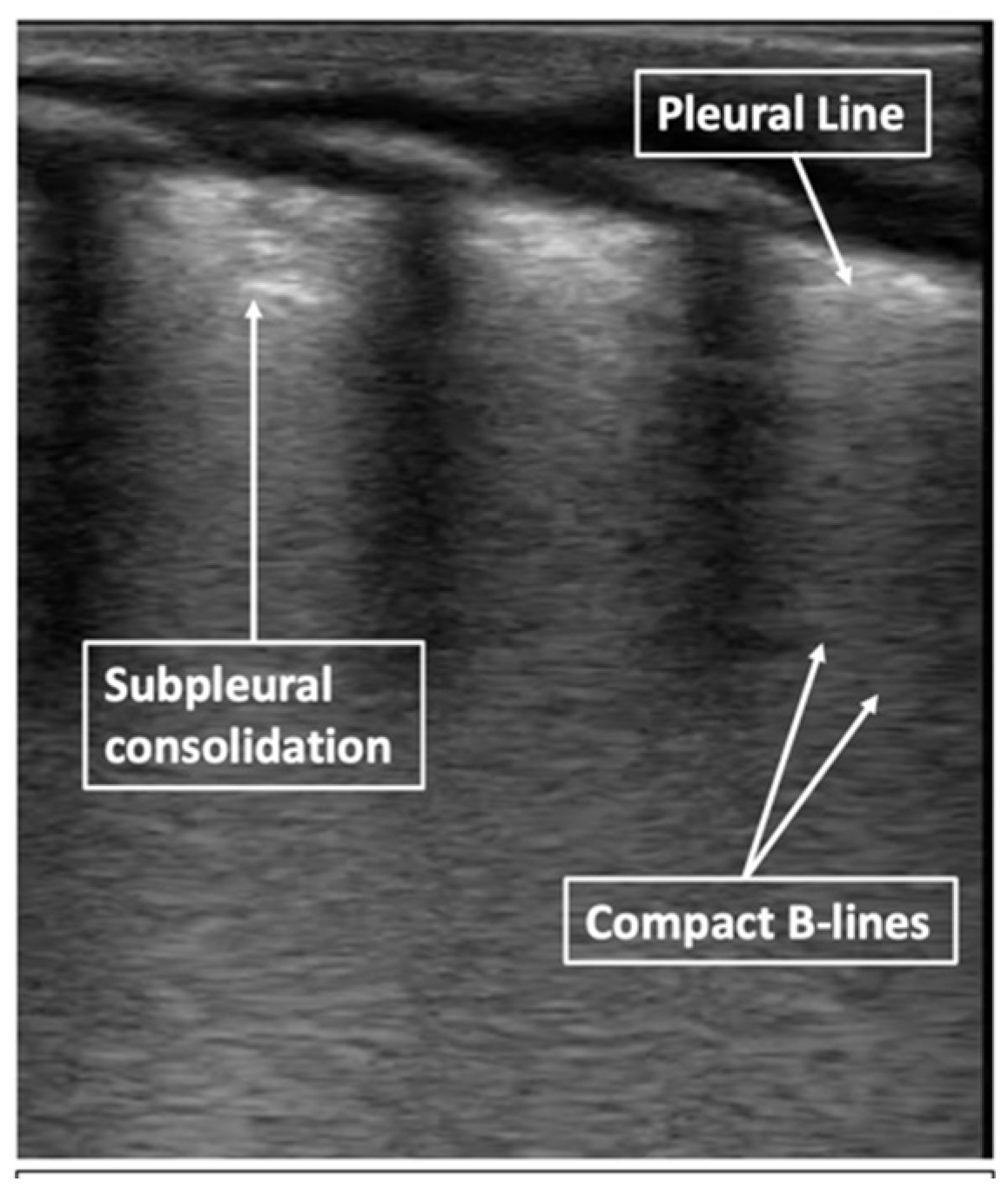 Children 08 01098 g006 550