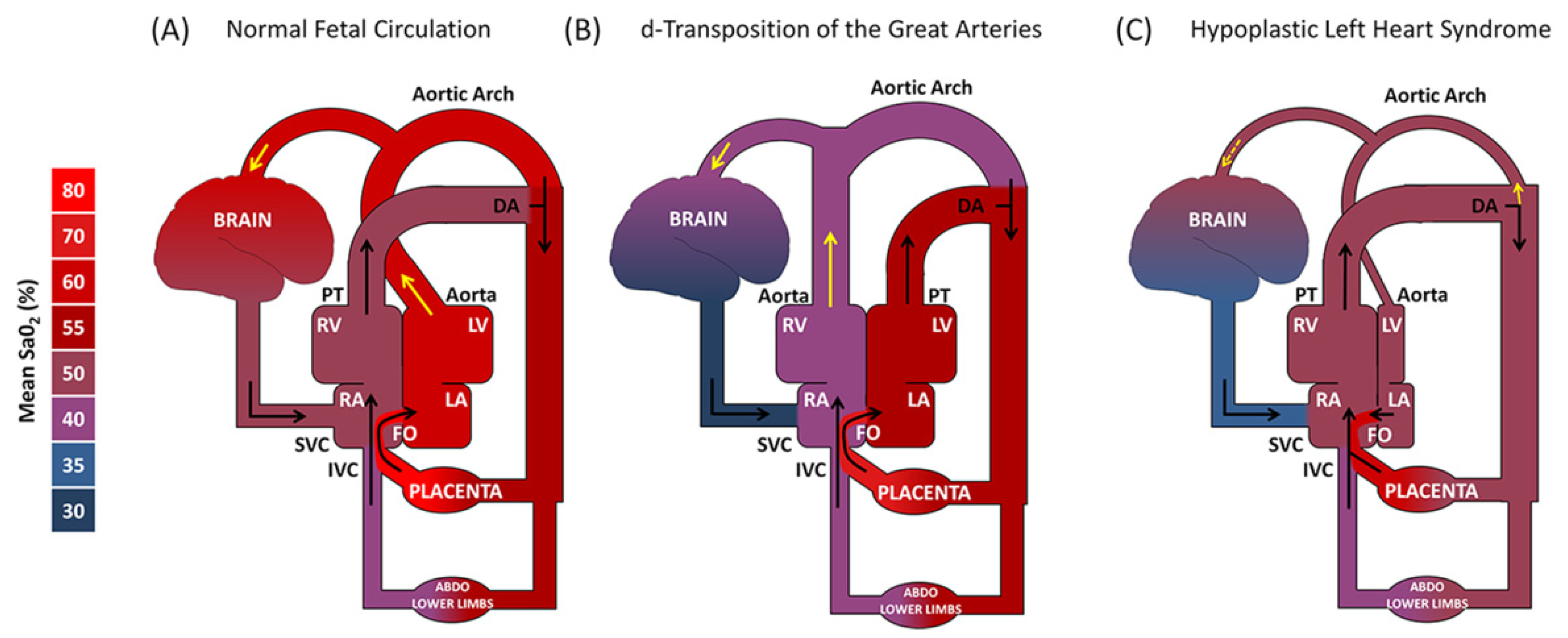 Children 08 01116 g002 Children 08 01116 g002