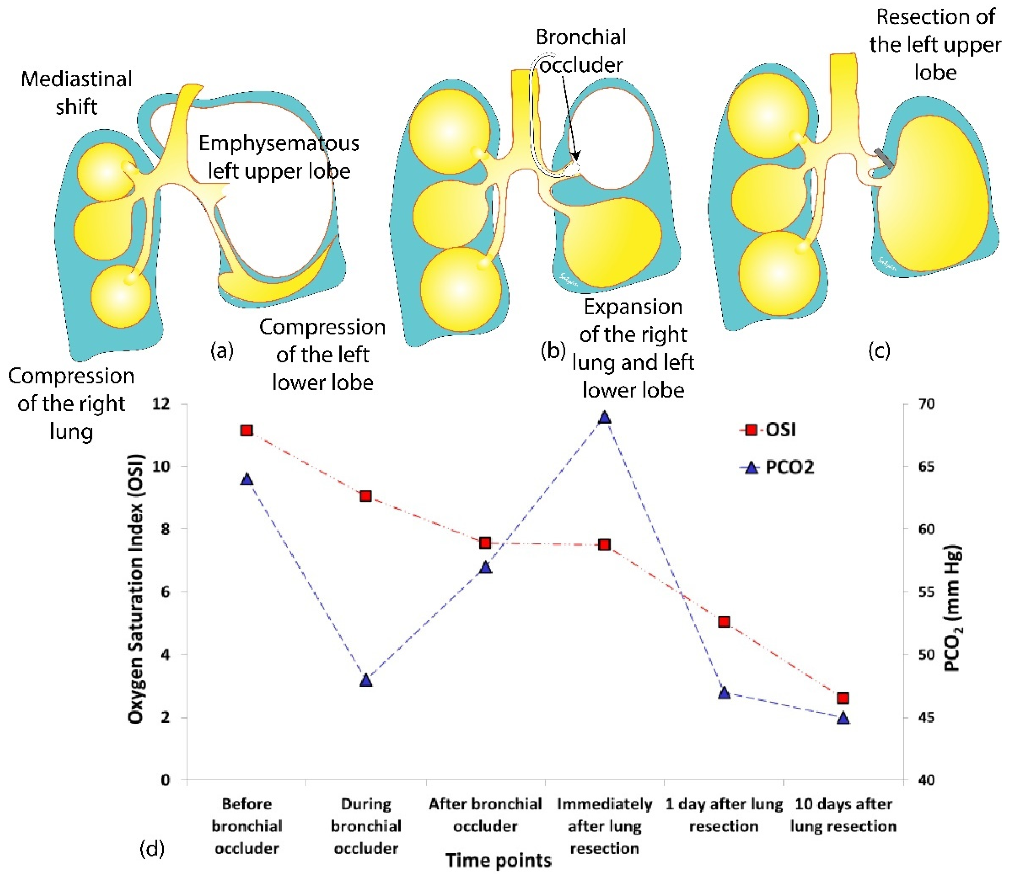Children 08 01163 g004 550
