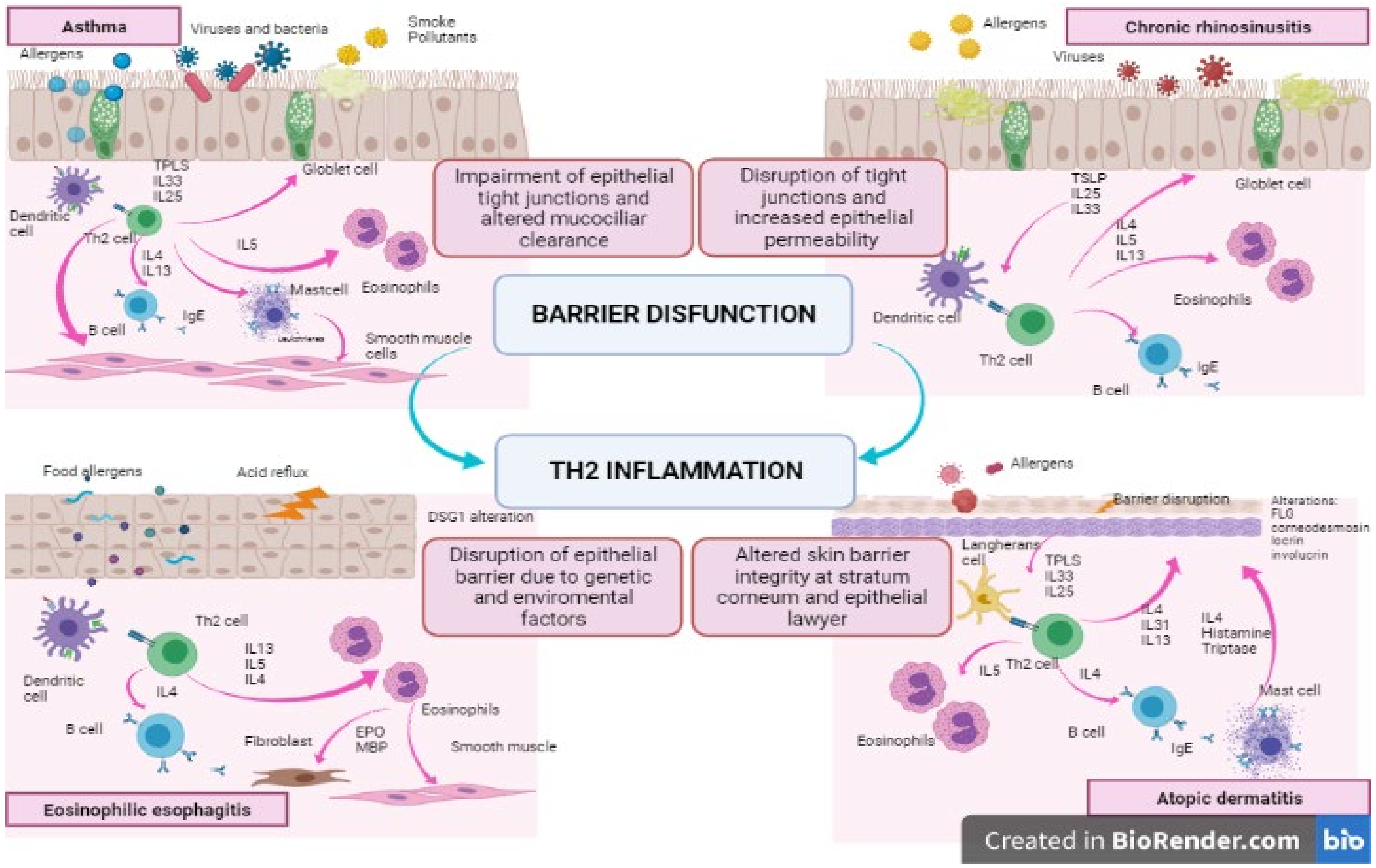 Children 08 01165 g001