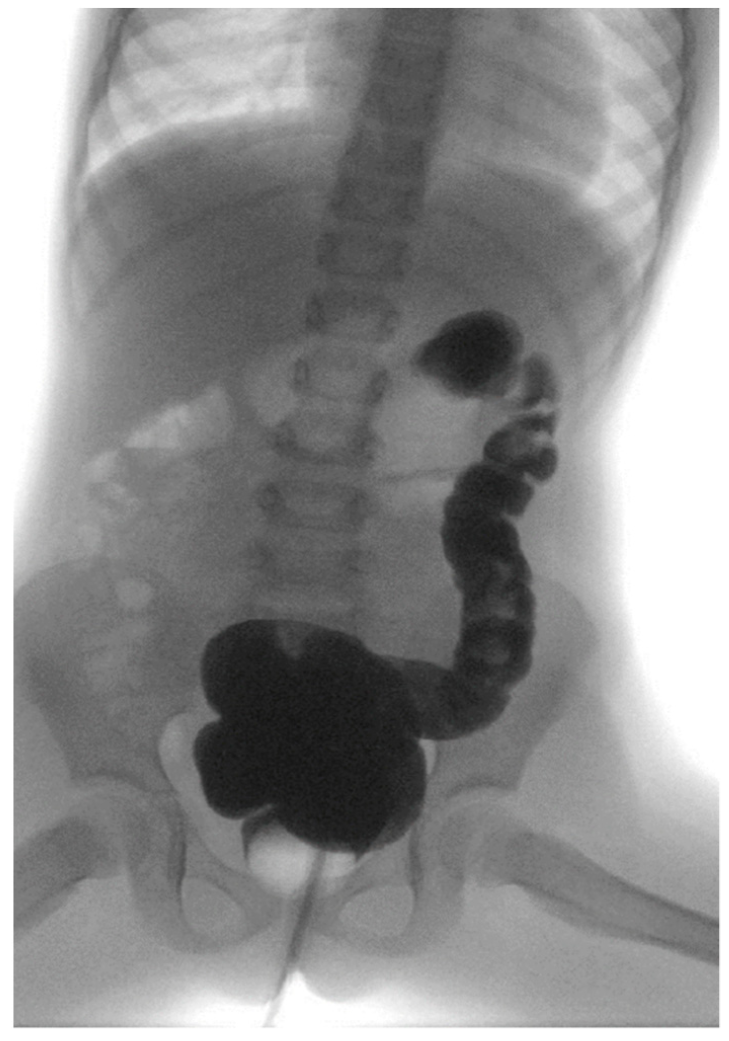 Children 08 01174 g002