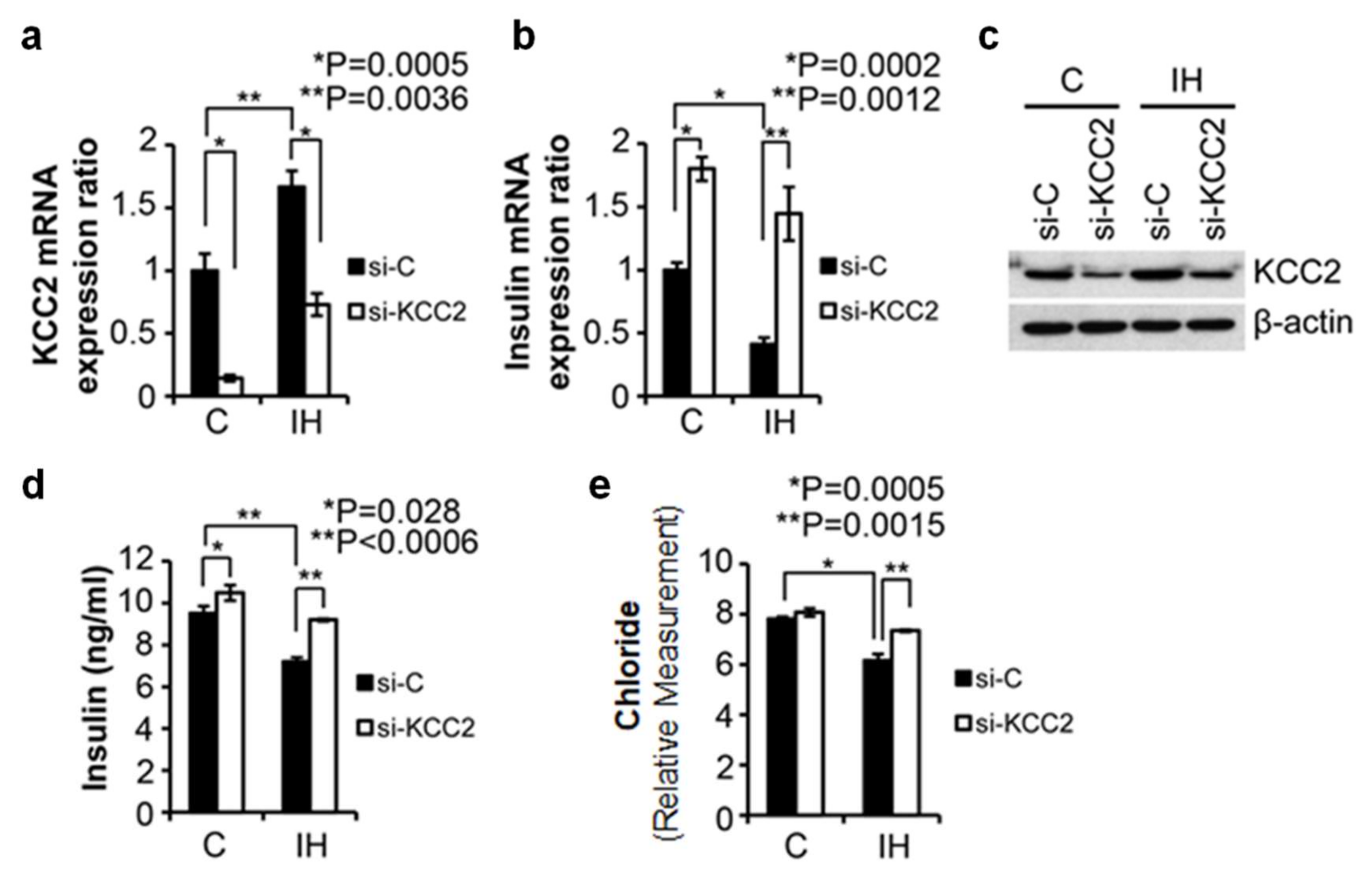 Children 08 01178 g001