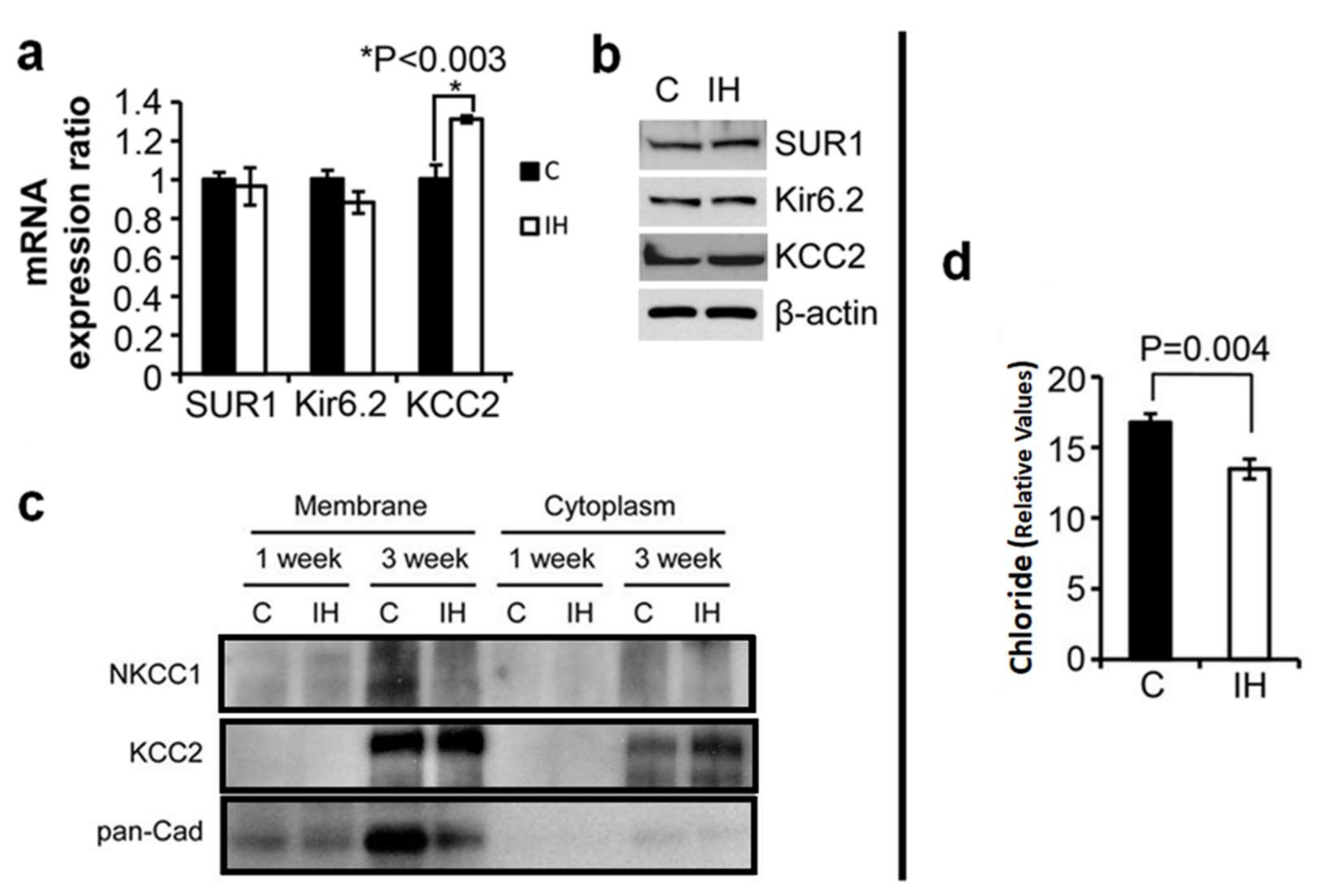 Children 08 01178 g003