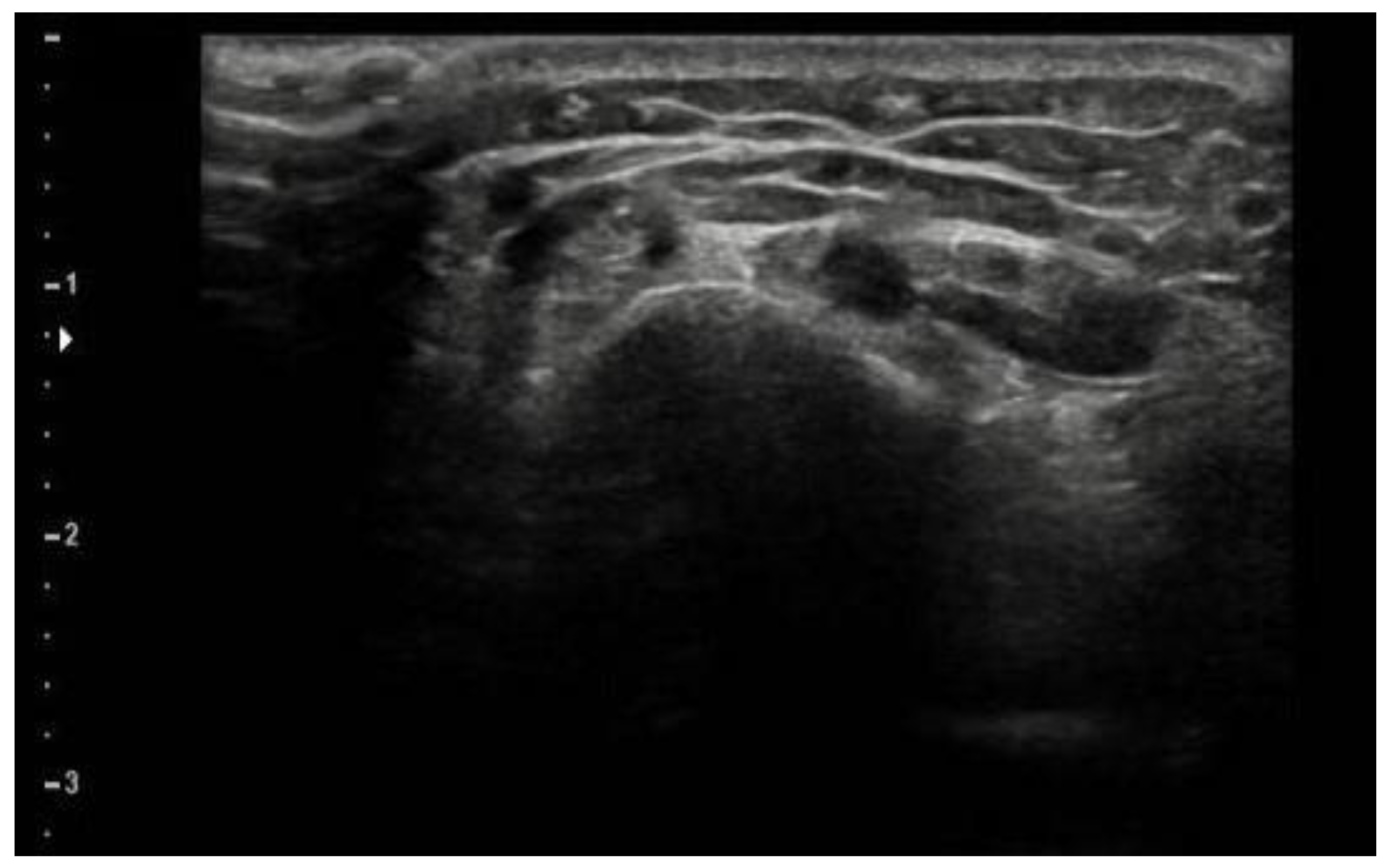 Children 08 01187 g002