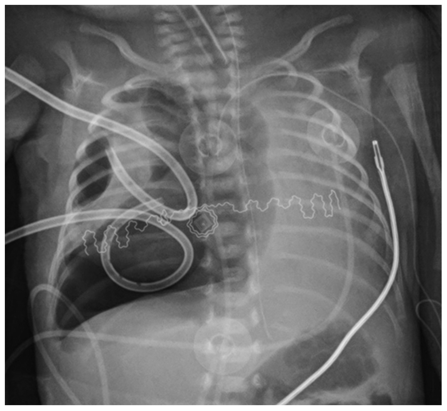 Children 08 01208 g002 550