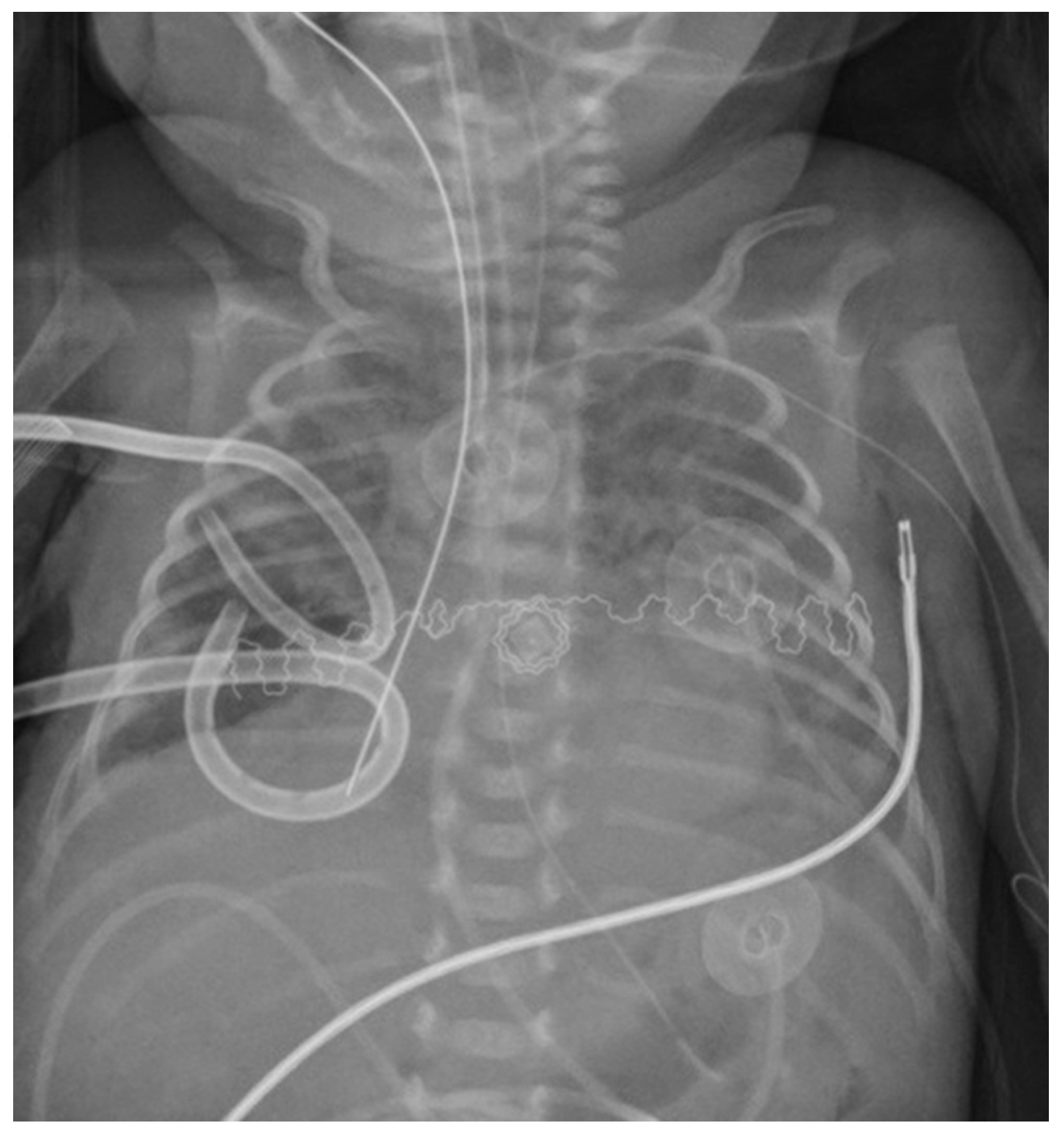 Children 08 01208 g003 550