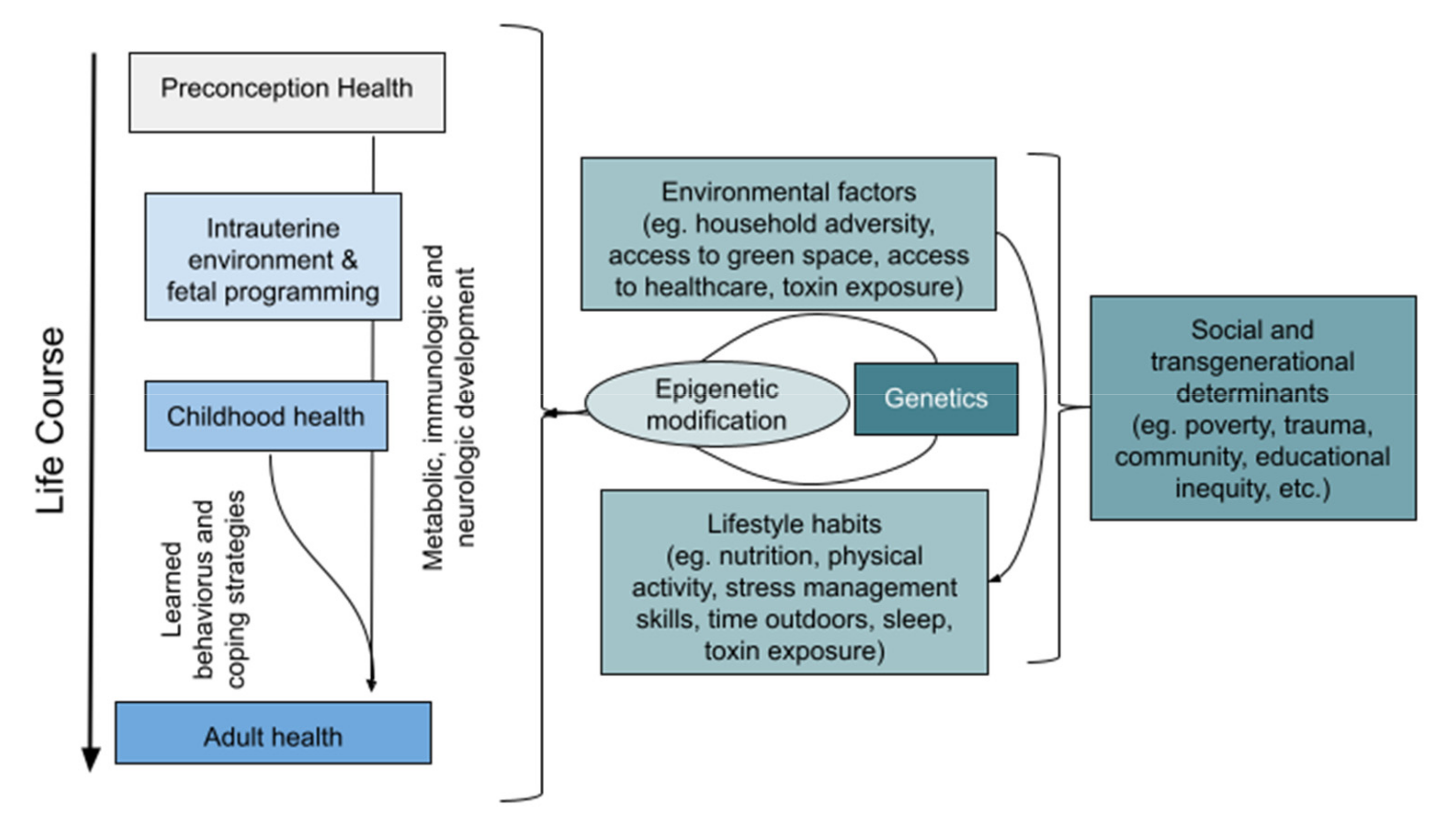 Children 09 00008 g002 550