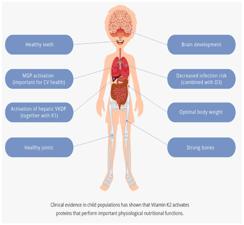 Children 09 00078 g001 Children 09 00078 g001