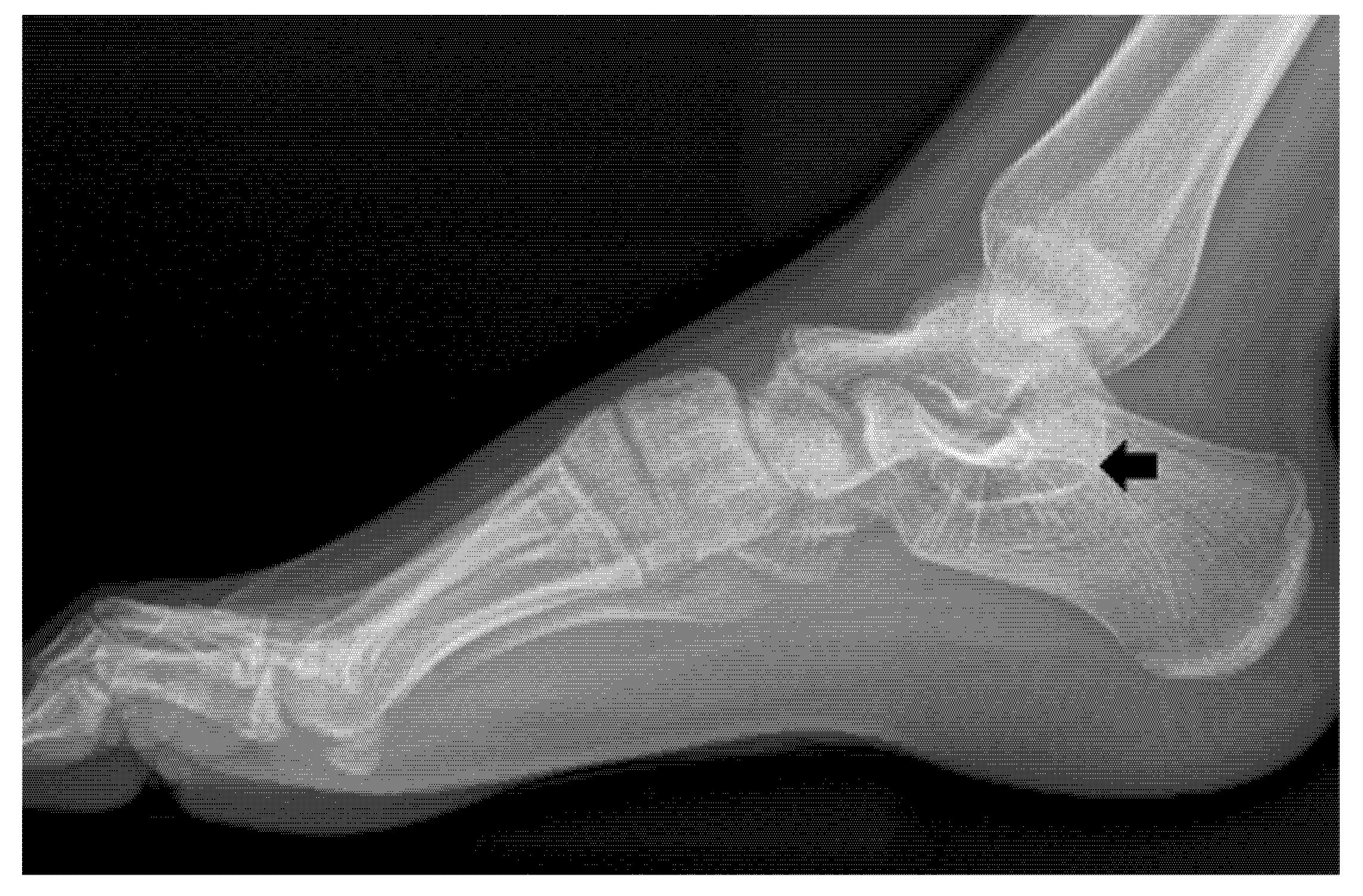 Children 09 00100 g004