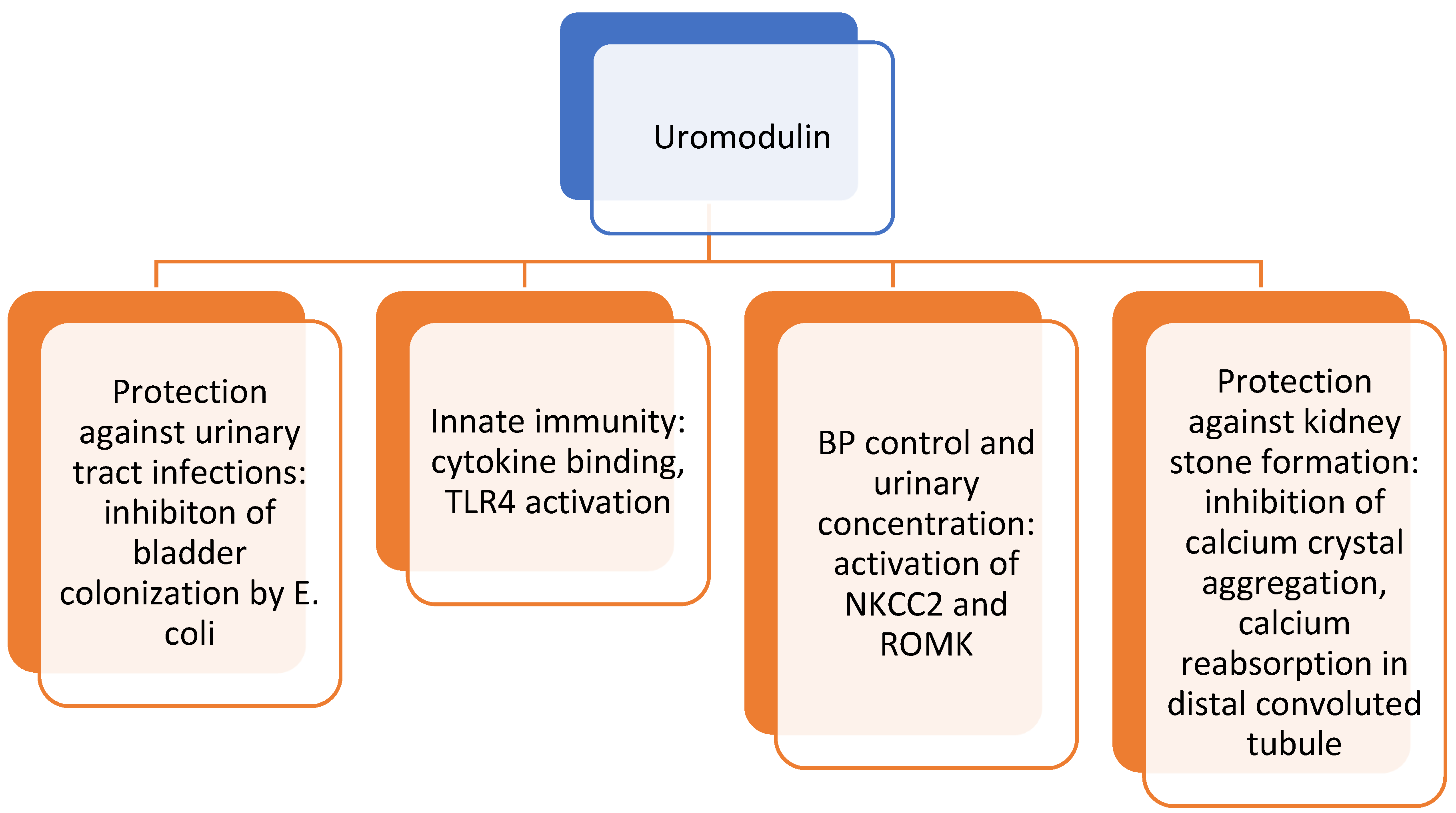 Children 09 00102 g003