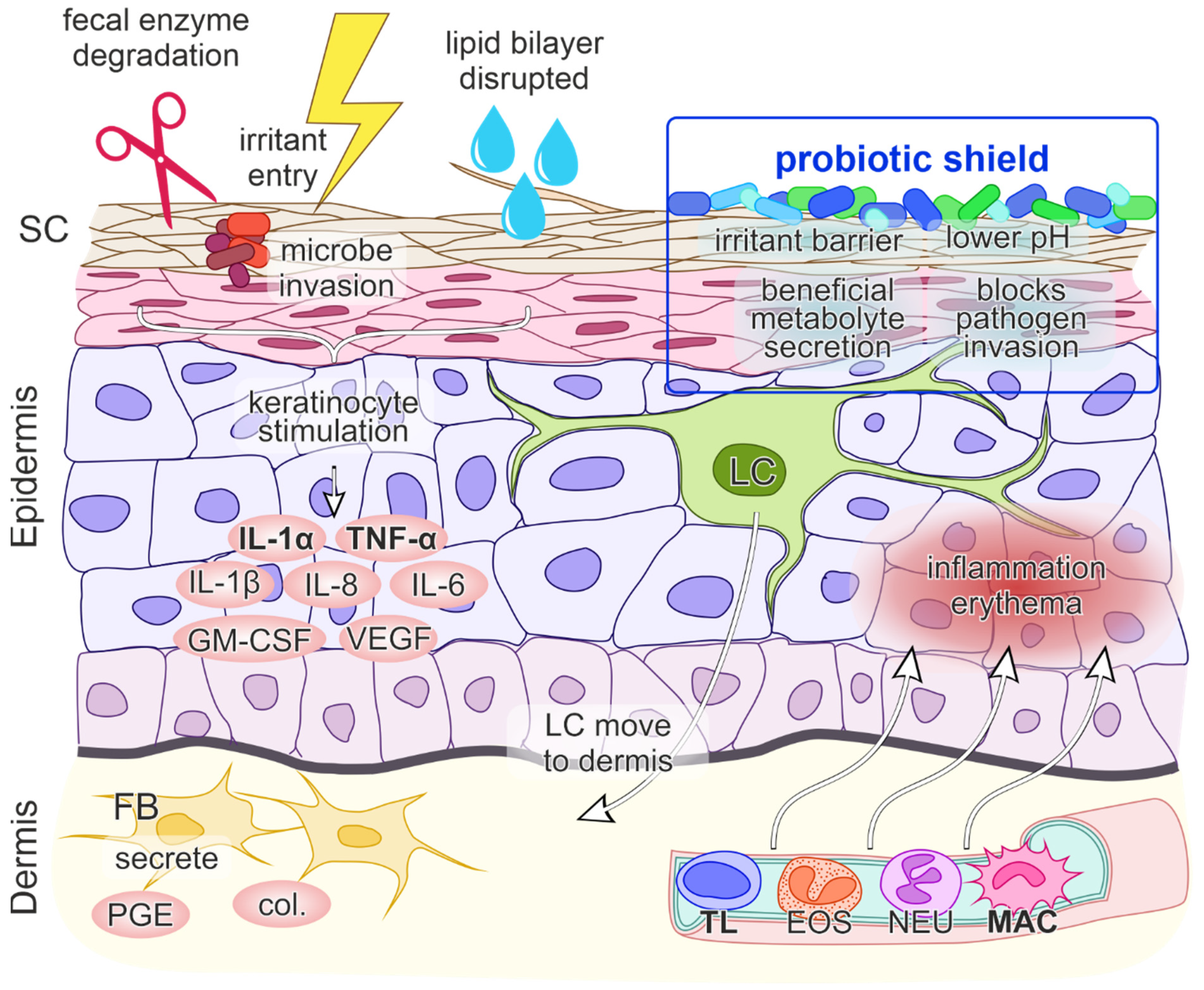 Children 09 00112 g001