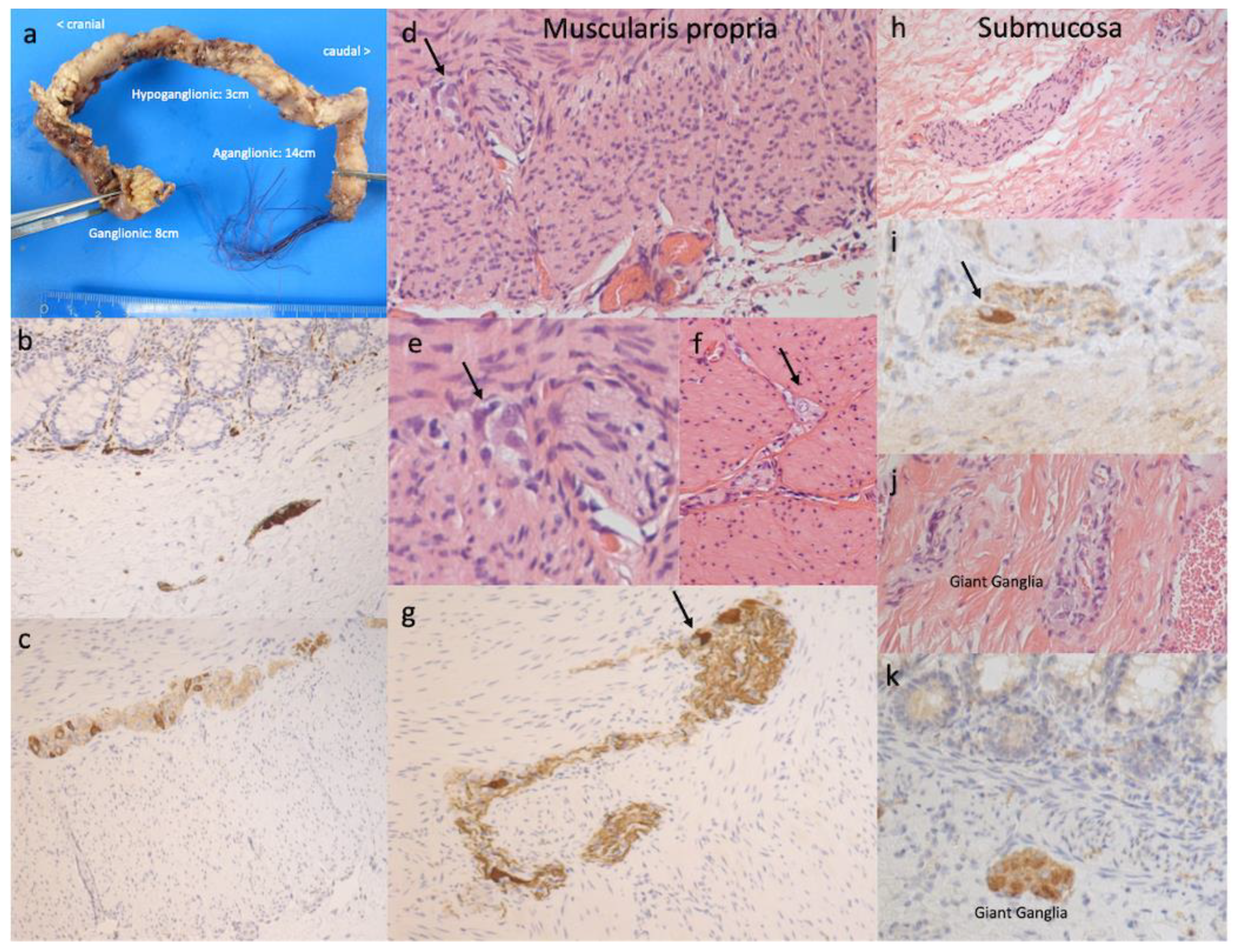 Children 09 00152 g002 550