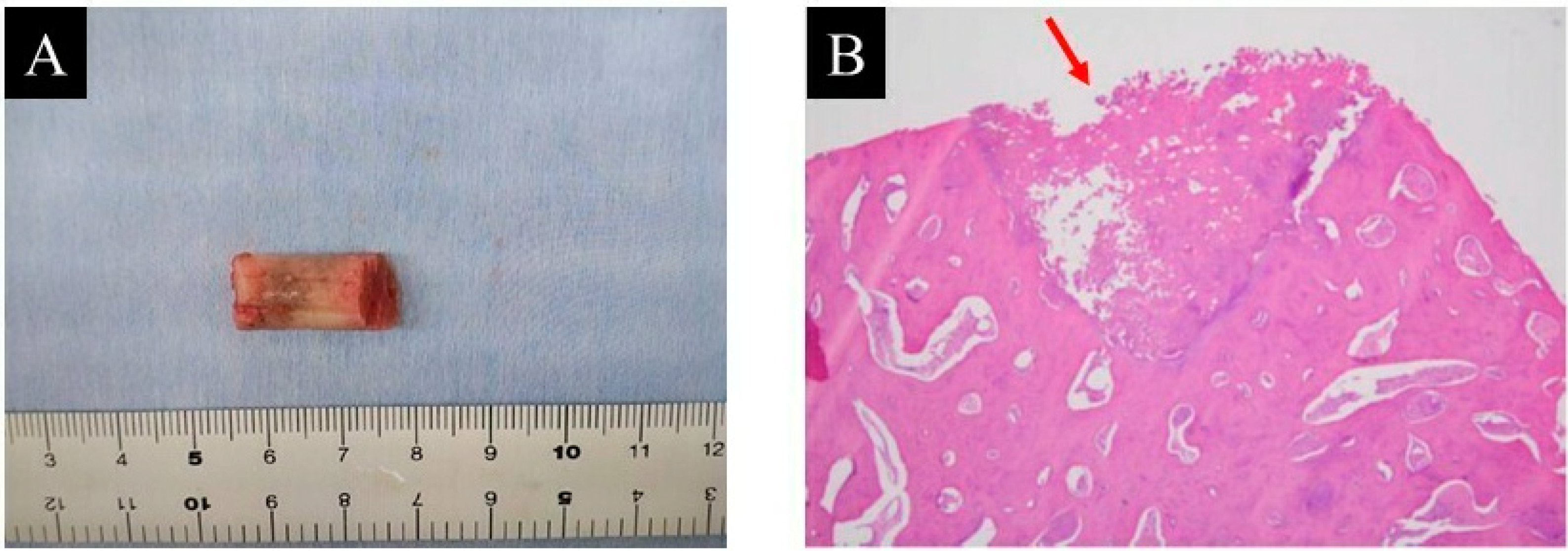 Children 09 00158 g004 Children 09 00158 g004