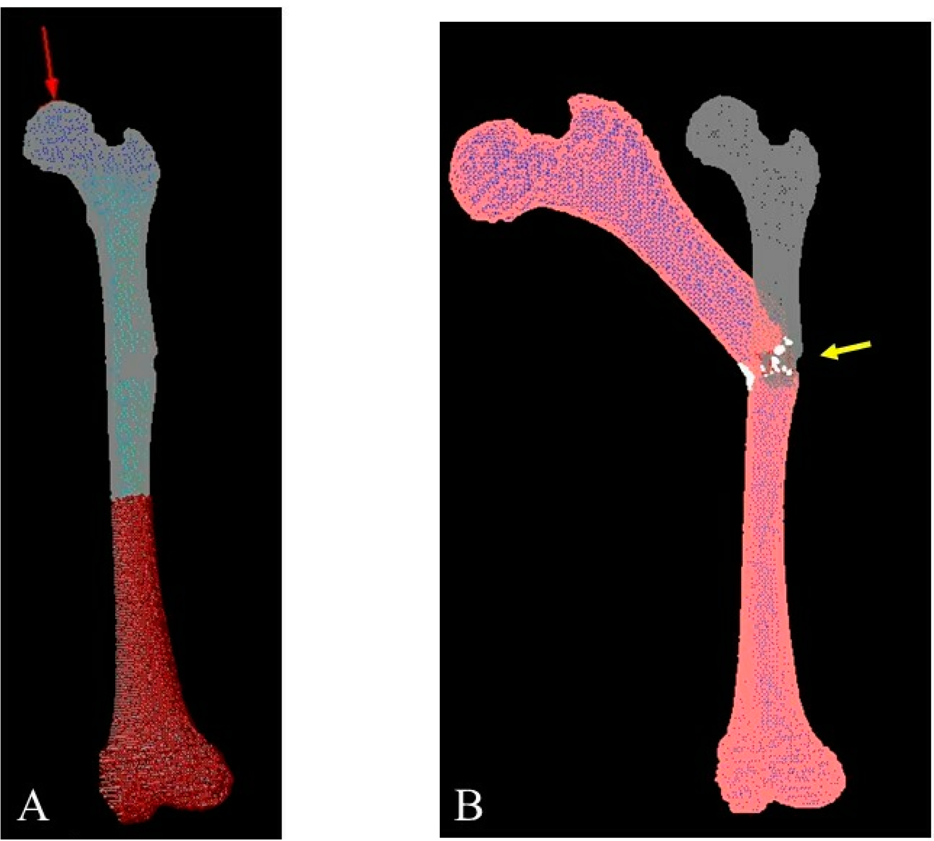 Children 09 00158 g006 Children 09 00158 g006