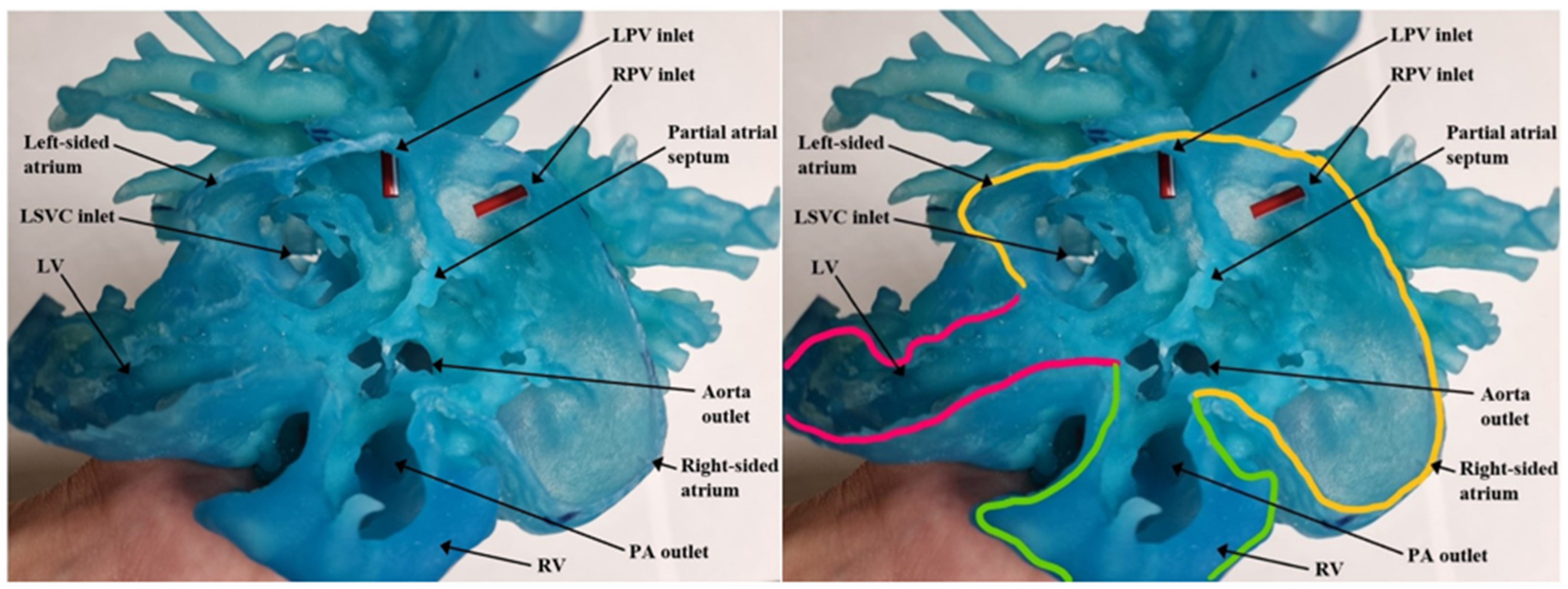 Children 09 00184 g004 Children 09 00184 g004