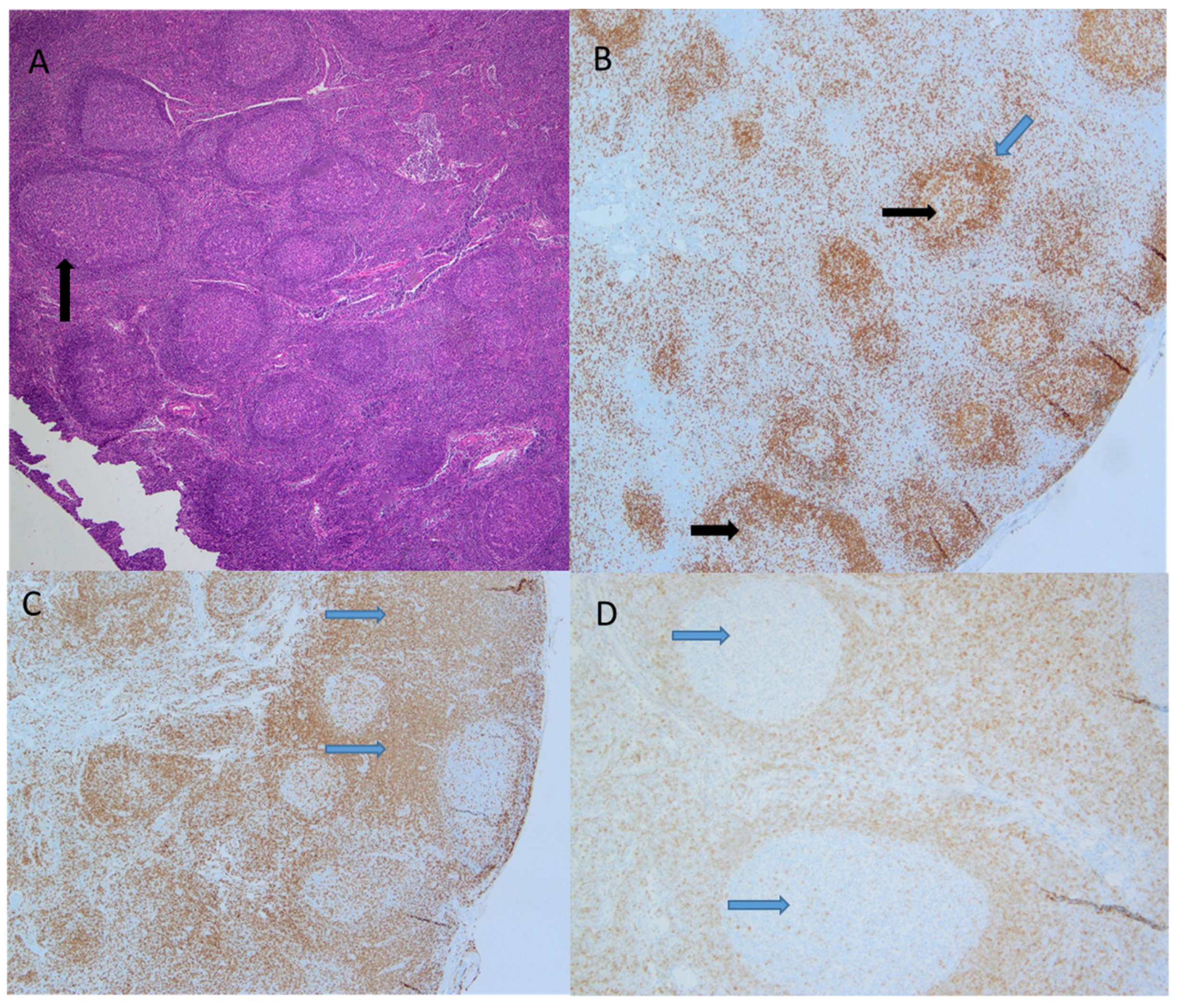 Children 09 00214 g002