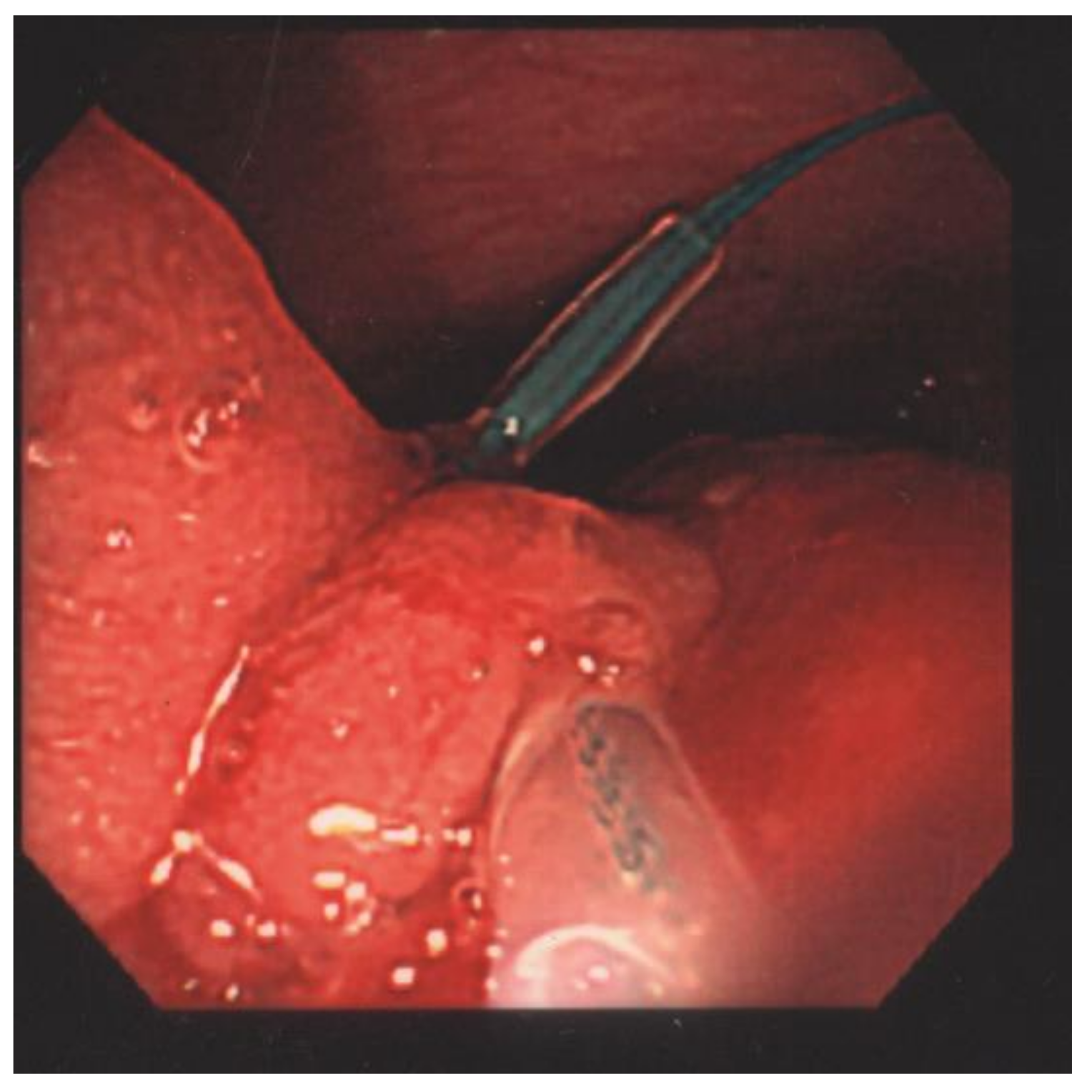 Children 09 00222 g002 550