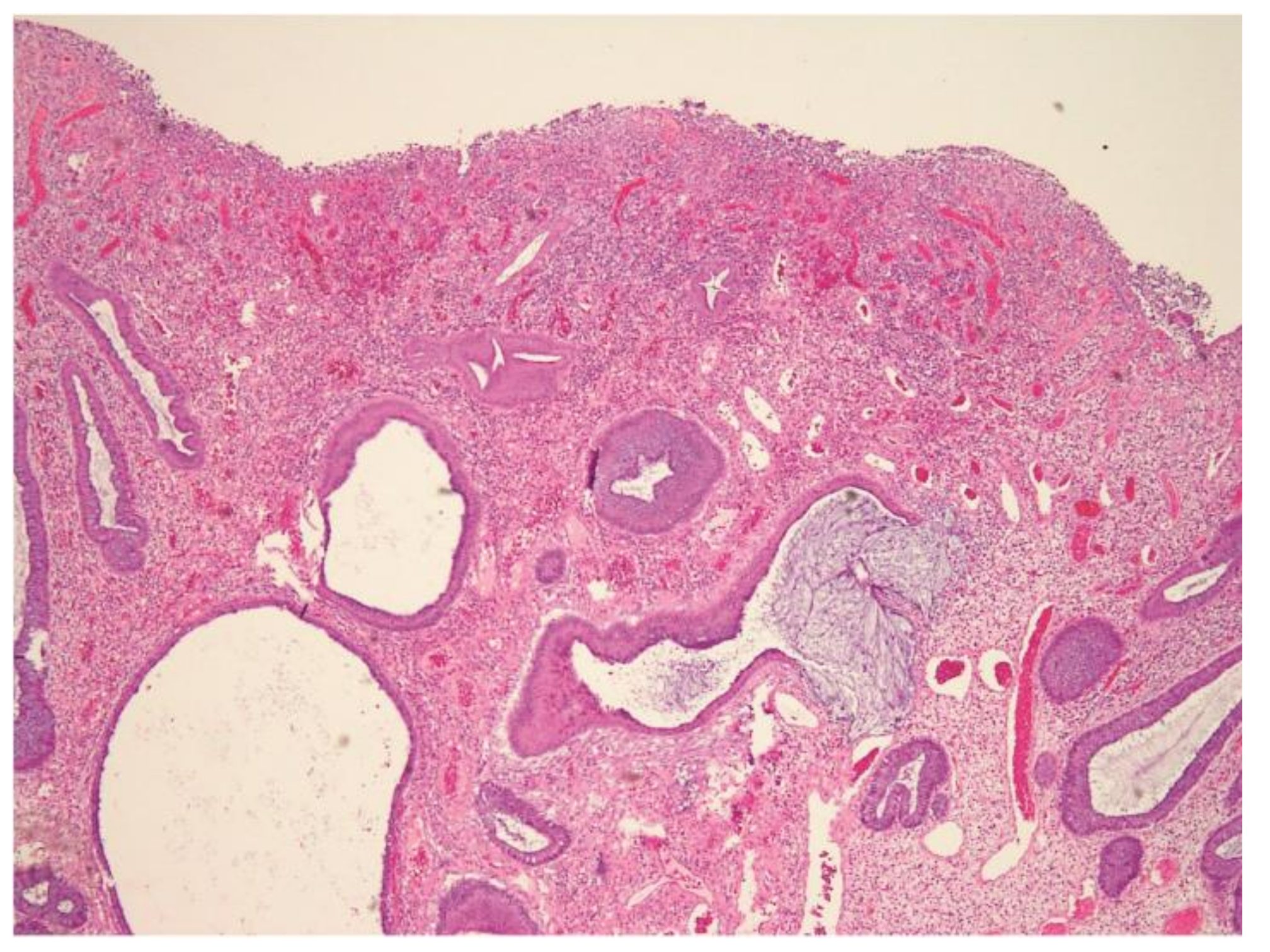 Children 09 00222 g005 550